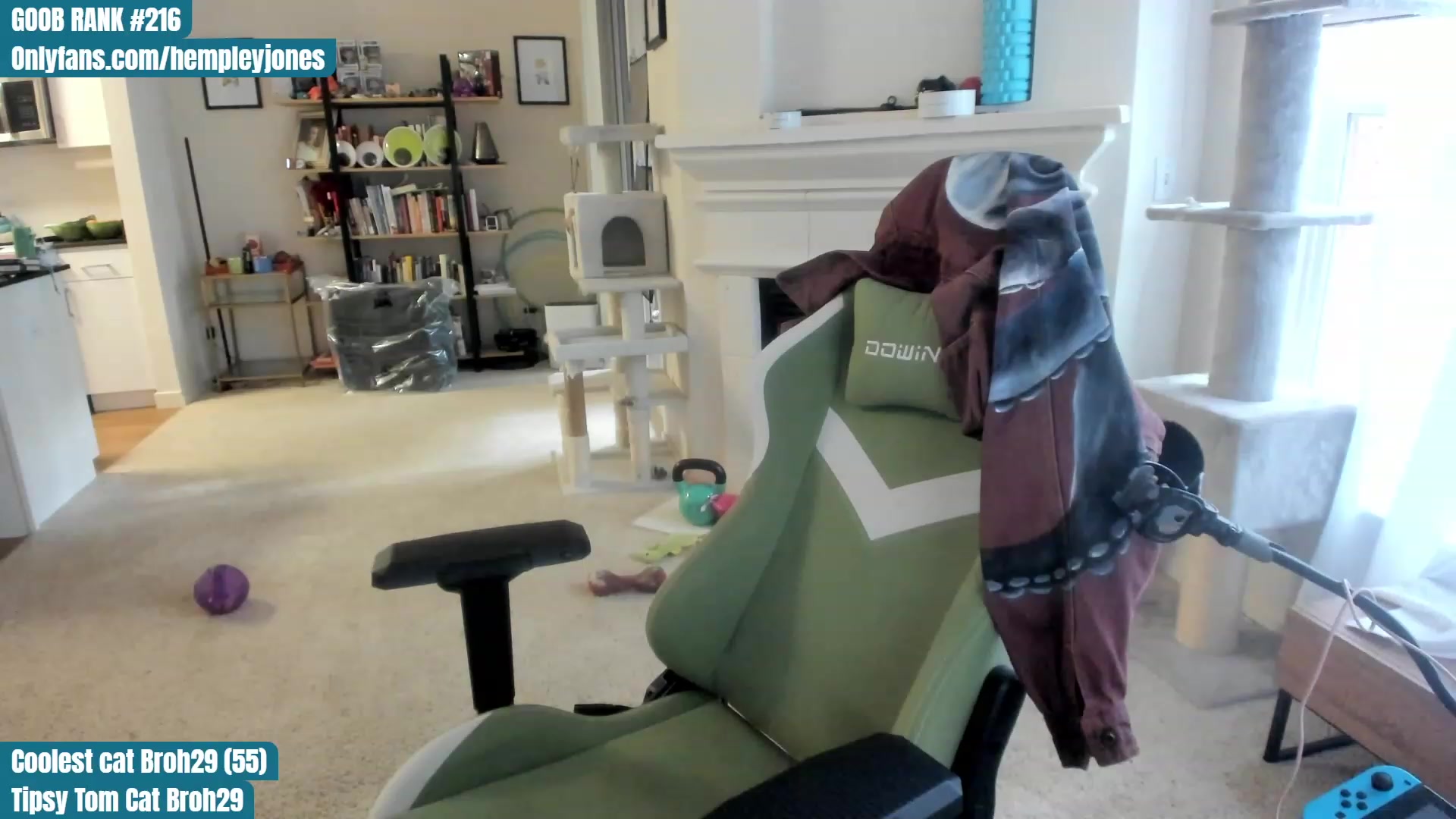 Gallery image thumbnail from Hemppopotamus's myfreecams stream on, 05/31/2023, 01:47 image 5 of 20