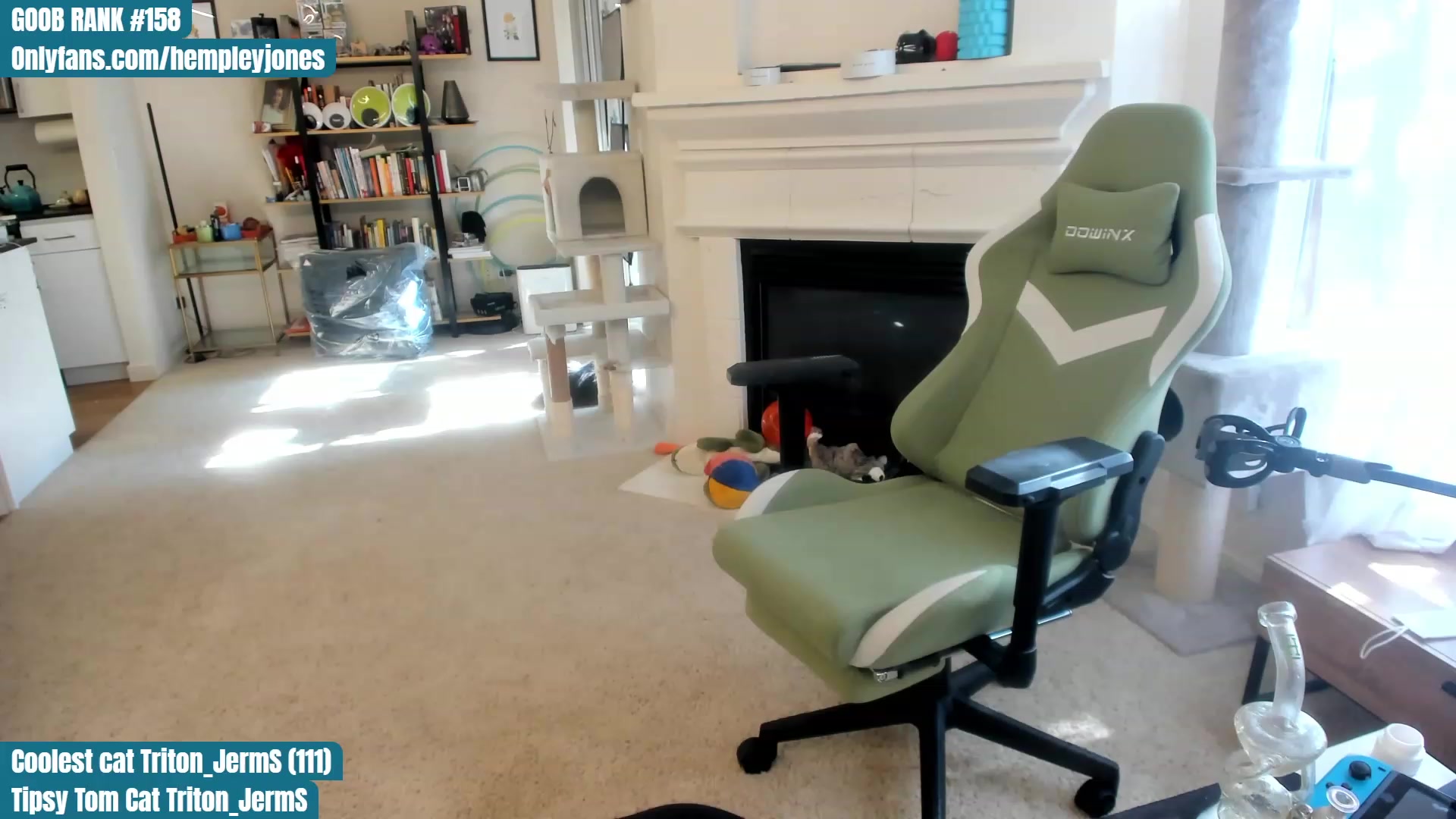 Gallery image thumbnail from Hemppopotamus's myfreecams stream on, 06/02/2023, 01:47 image 11 of 20