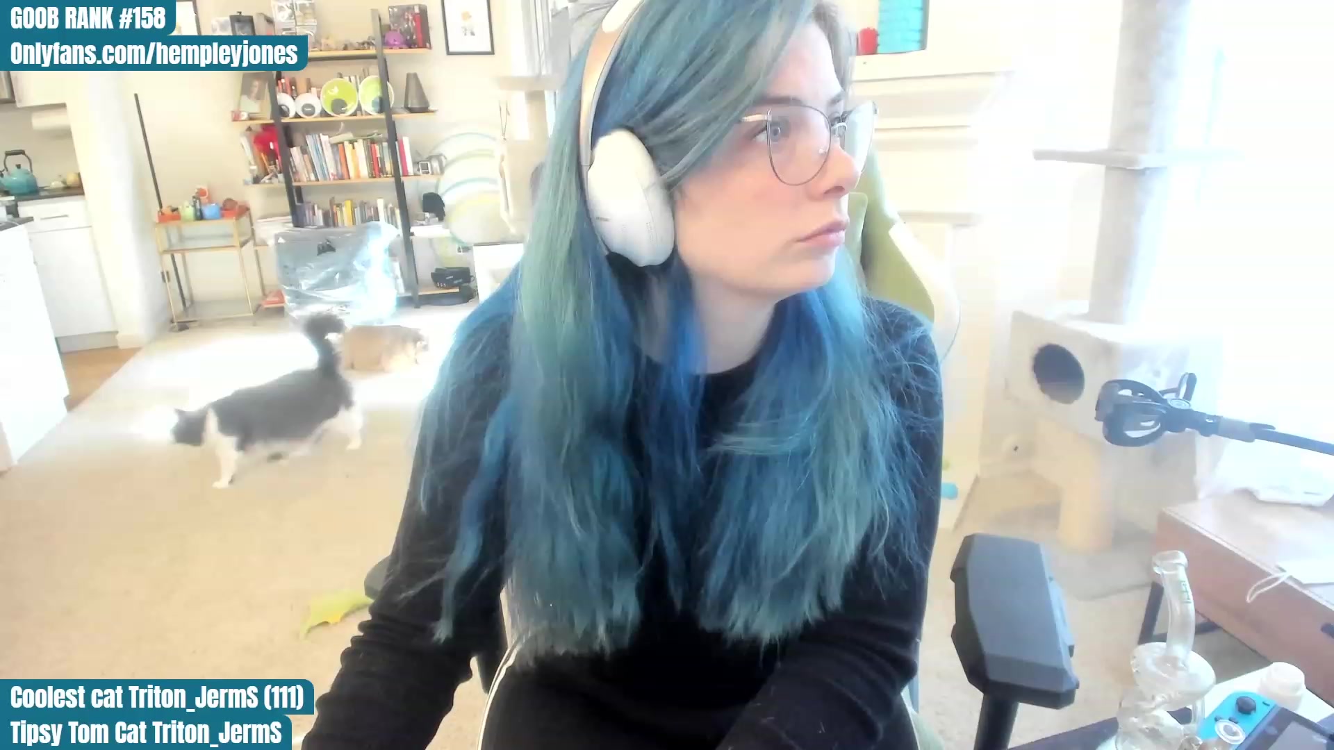 Gallery image thumbnail from Hemppopotamus's myfreecams stream on, 06/02/2023, 01:47 image 12 of 20