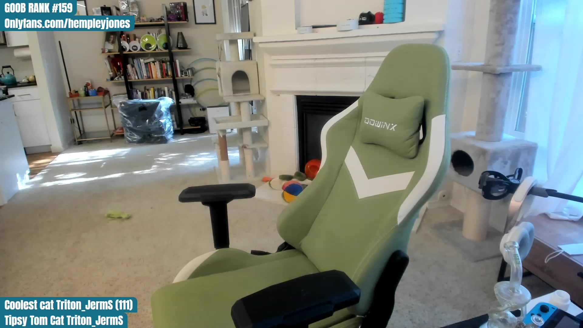 Gallery image thumbnail from Hemppopotamus's myfreecams stream on, 06/02/2023, 01:47 image 15 of 20