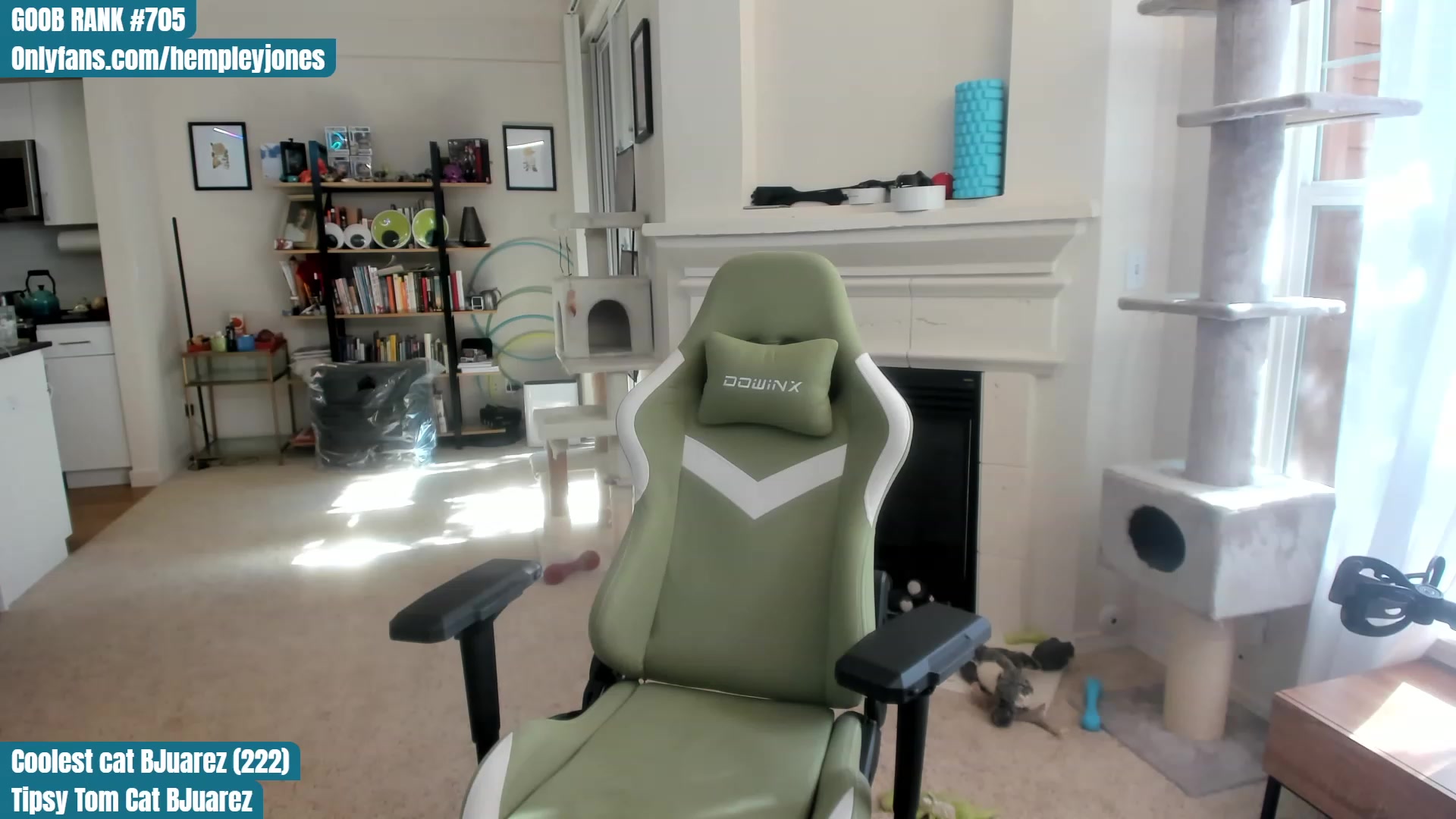 Gallery image thumbnail from Hemppopotamus's myfreecams stream on, 06/06/2023, 01:07 image 16 of 20