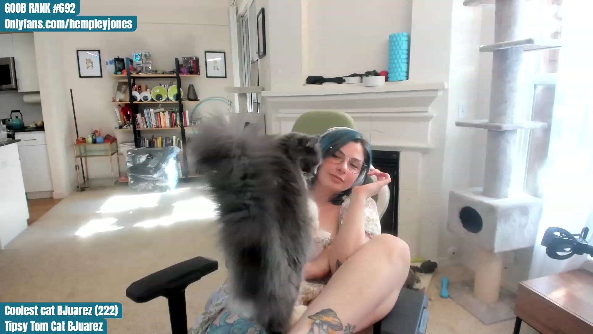 Gallery image thumbnail from Hemppopotamus's myfreecams stream on, 06/06/2023, 01:49 image 8 of 20