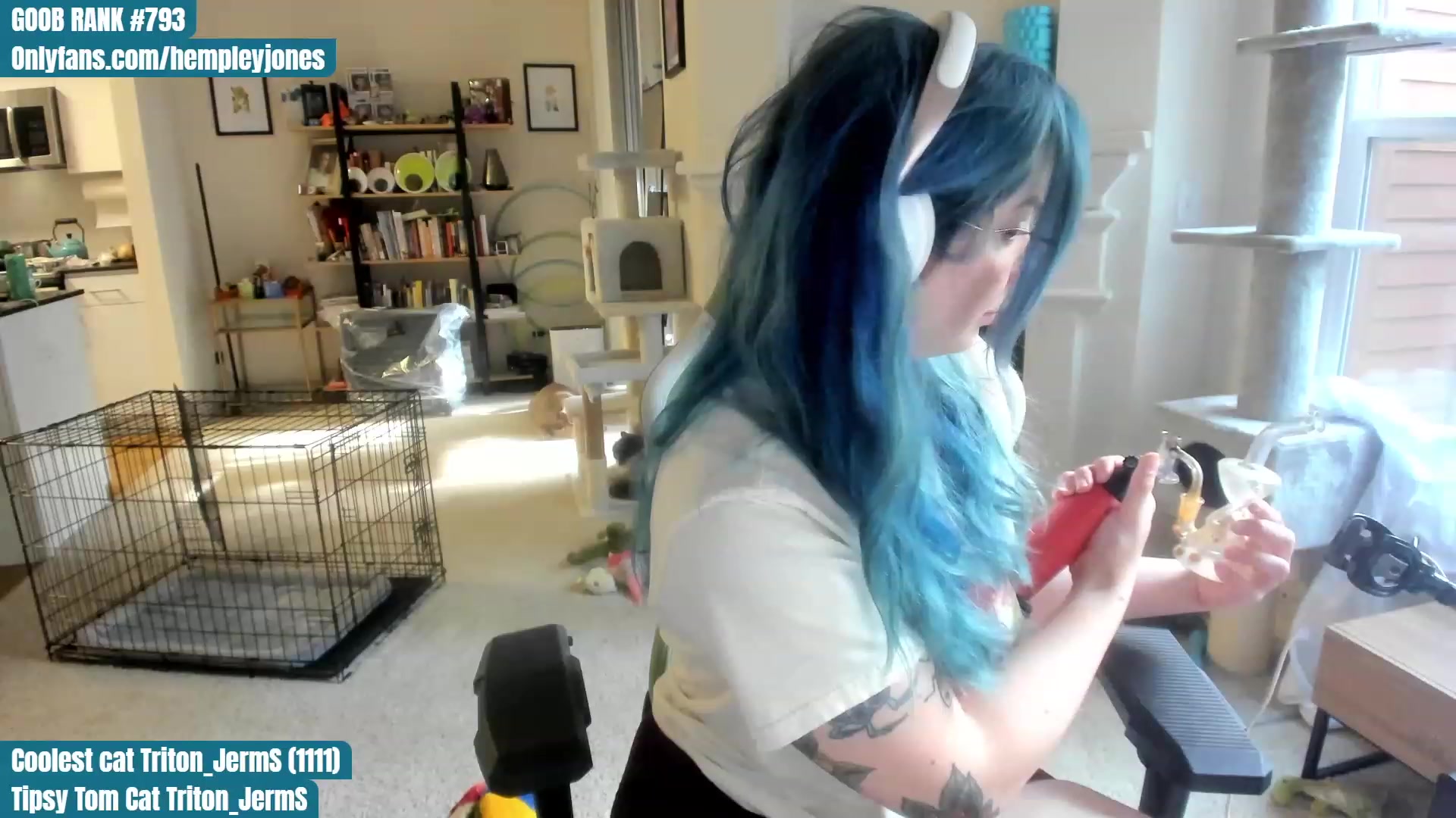 Gallery image thumbnail from Hemppopotamus's myfreecams stream on, 06/09/2023, 24:08 image 11 of 20