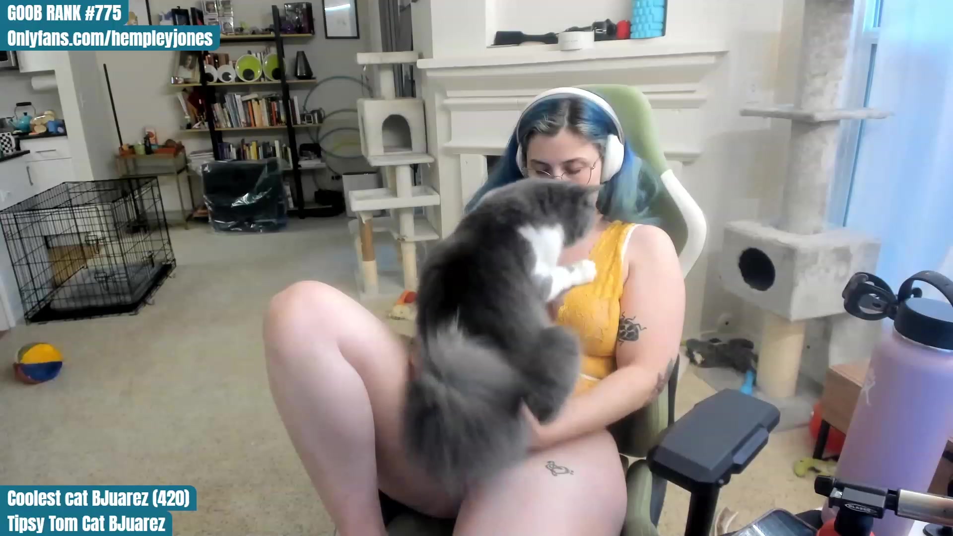 Gallery image thumbnail from Hemppopotamus's myfreecams stream on, 06/10/2023, 01:56 image 19 of 20