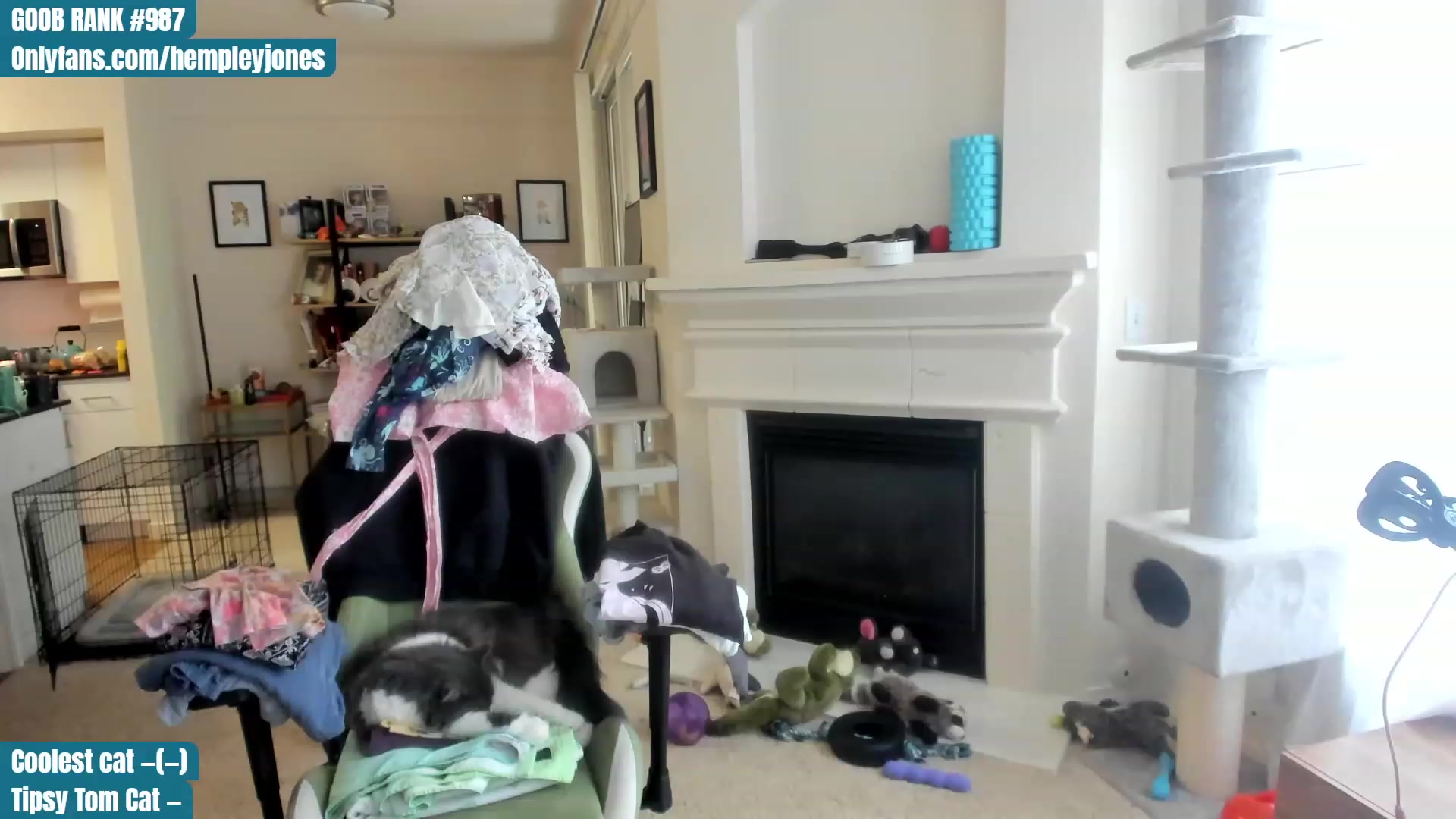Gallery image thumbnail from Hemppopotamus's myfreecams stream on, 06/11/2023, 23:15 image 2 of 20