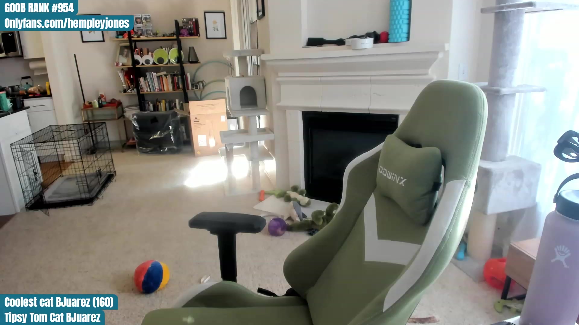 Gallery image thumbnail from Hemppopotamus's myfreecams stream on, 06/12/2023, 24:14 image 5 of 20