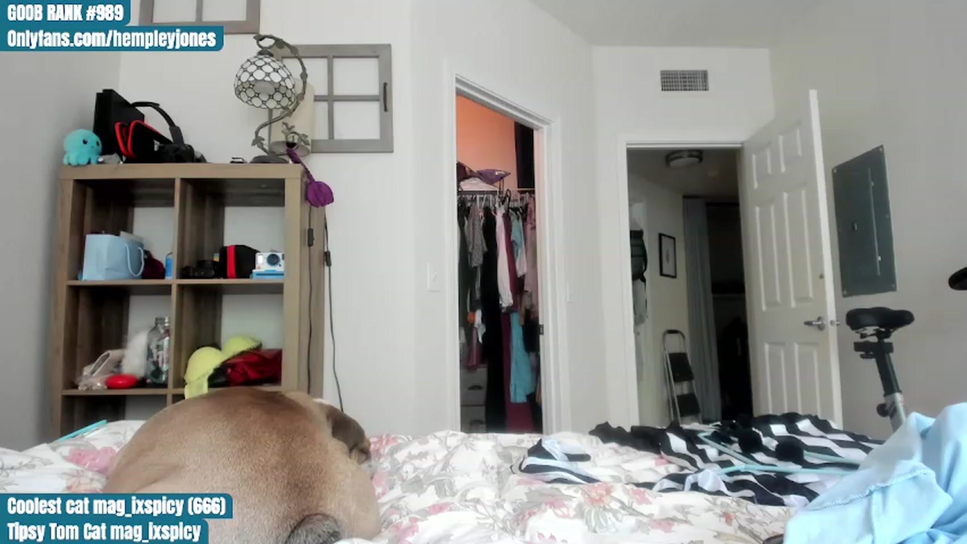 Gallery image thumbnail from Hemppopotamus's myfreecams stream on, 06/12/2023, 23:24 image 11 of 20