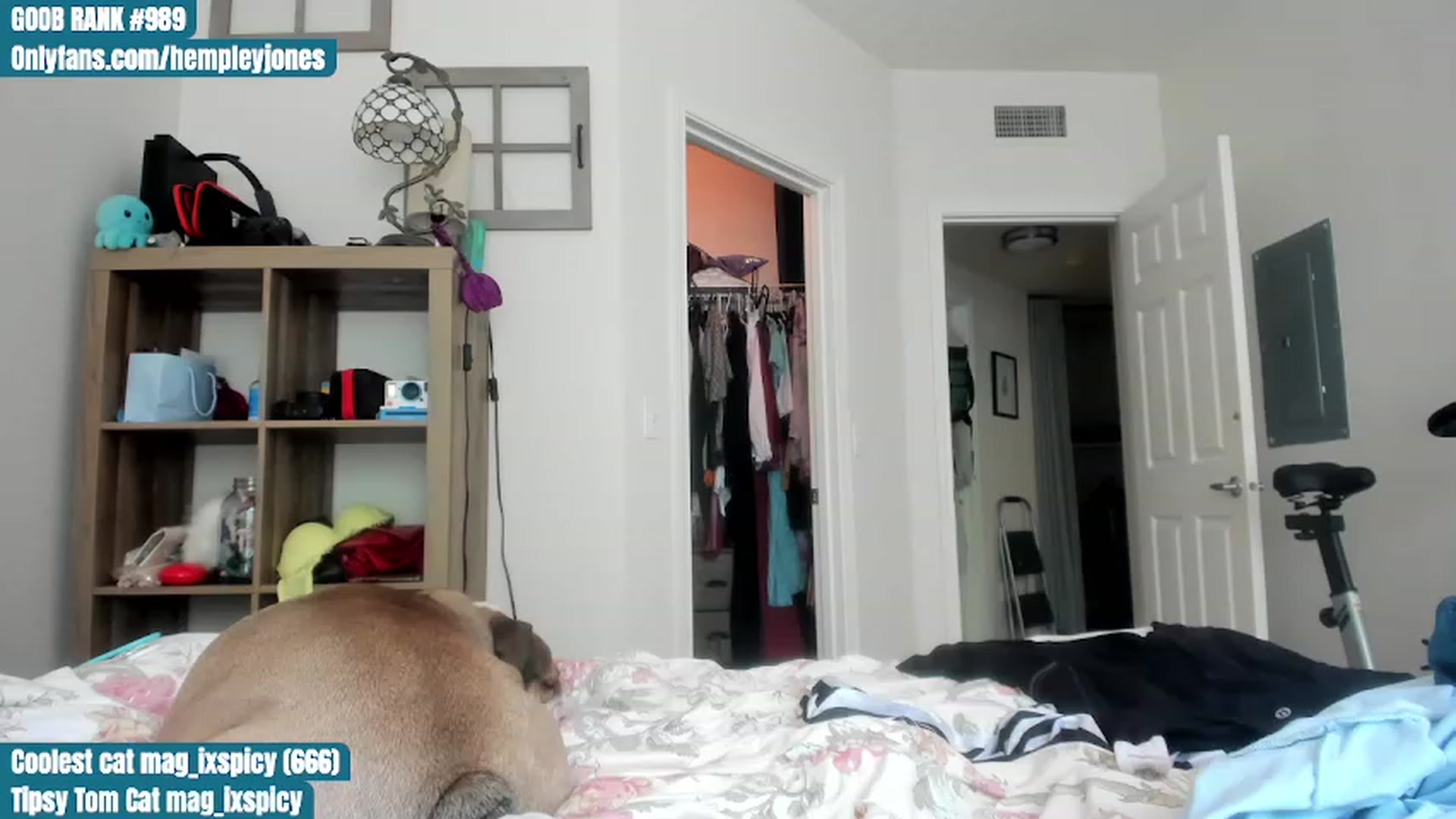 Gallery image thumbnail from Hemppopotamus's myfreecams stream on, 06/12/2023, 23:24 image 12 of 20