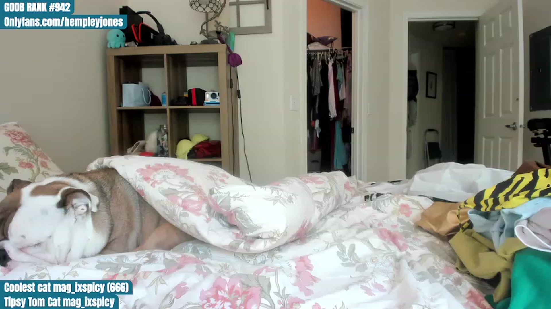 Gallery image thumbnail from Hemppopotamus's myfreecams stream on, 06/12/2023, 23:24 image 20 of 20