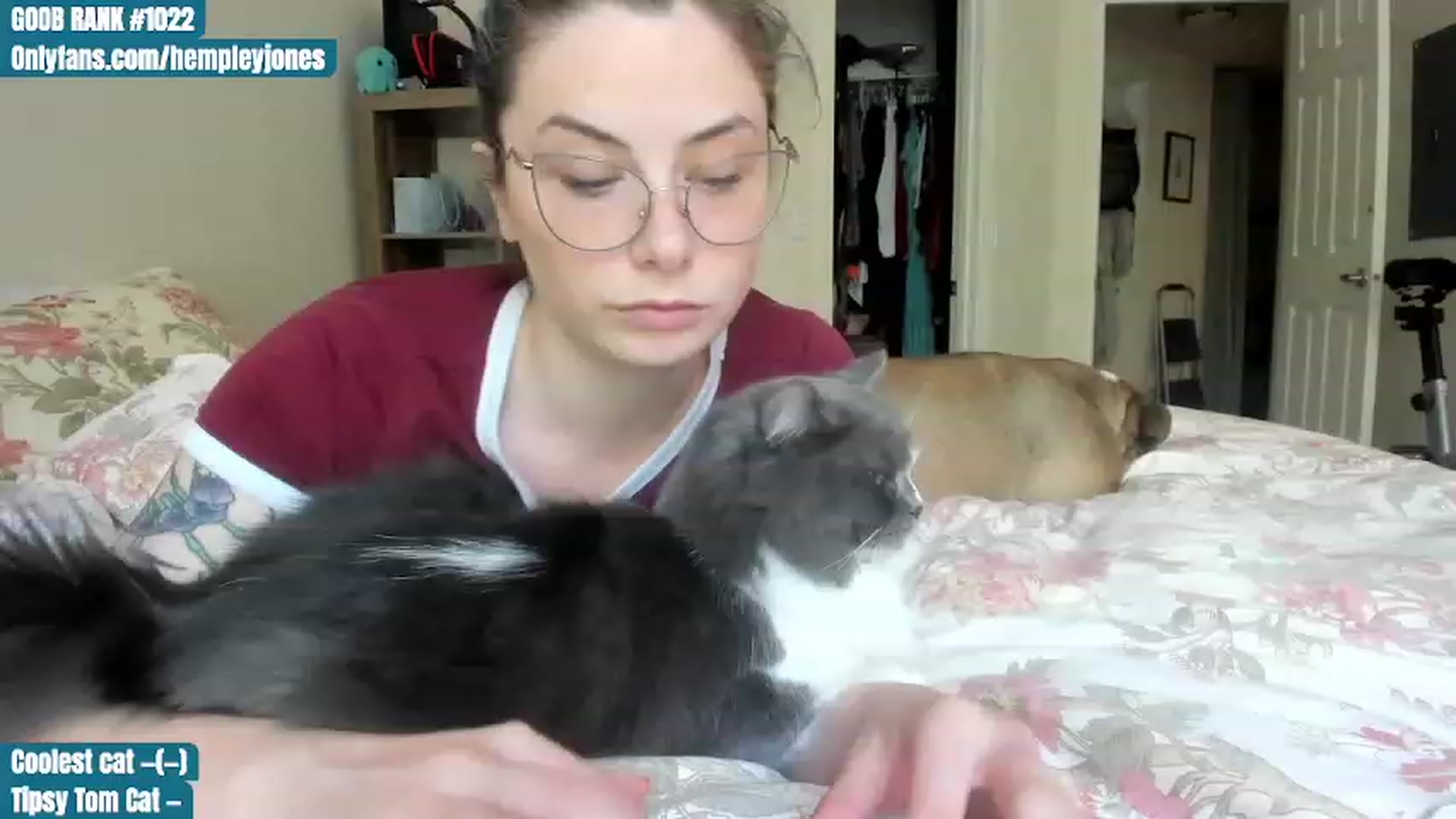 Gallery image thumbnail from Hemppopotamus's myfreecams stream on, 06/12/2023, 23:24 image 3 of 20