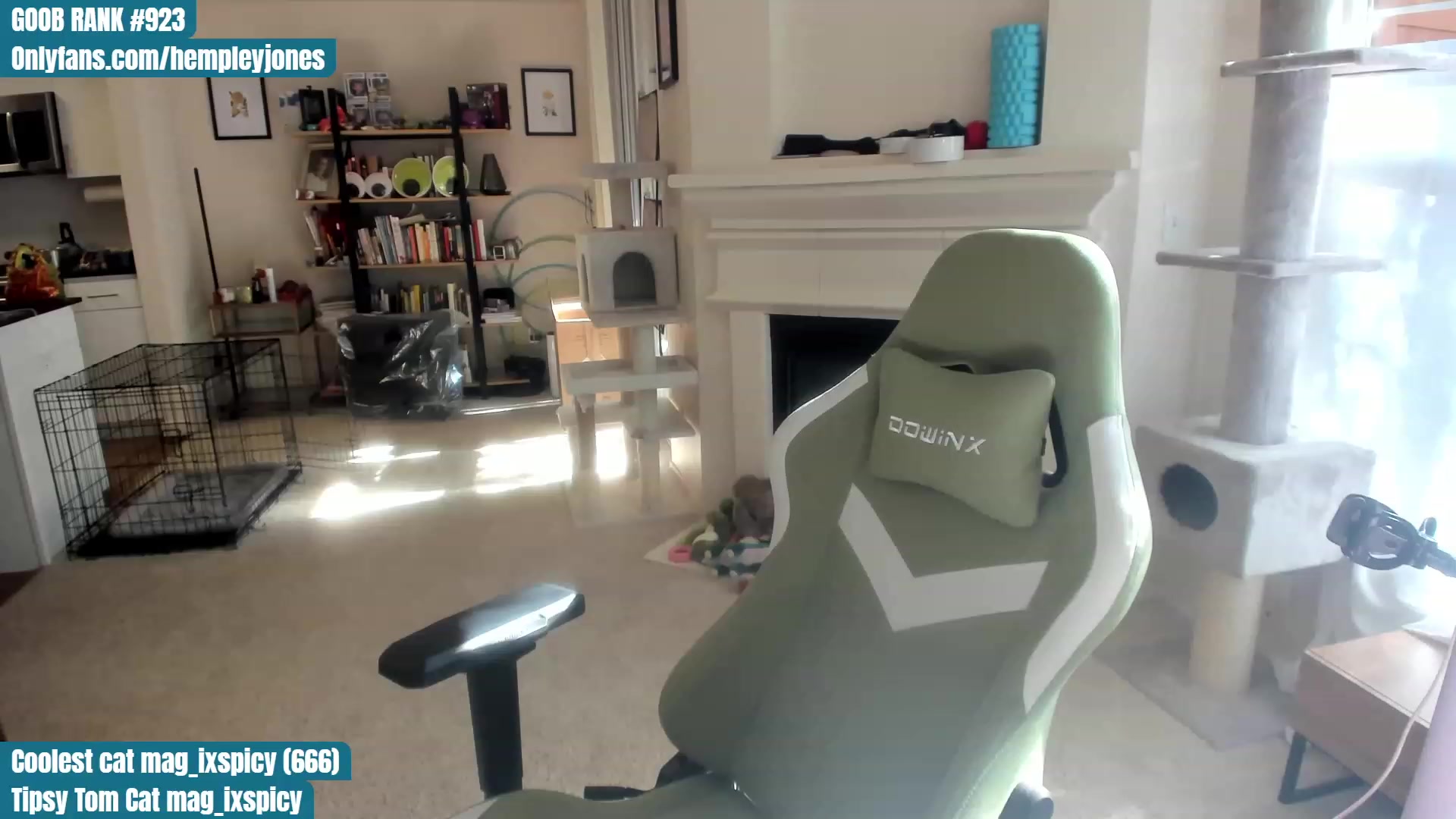 Gallery image thumbnail from Hemppopotamus's myfreecams stream on, 06/13/2023, 01:05 image 9 of 20