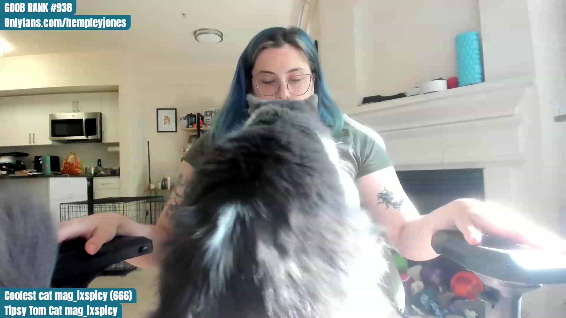 Gallery image thumbnail from Hemppopotamus's myfreecams stream on, 06/13/2023, 01:05 image 3 of 20
