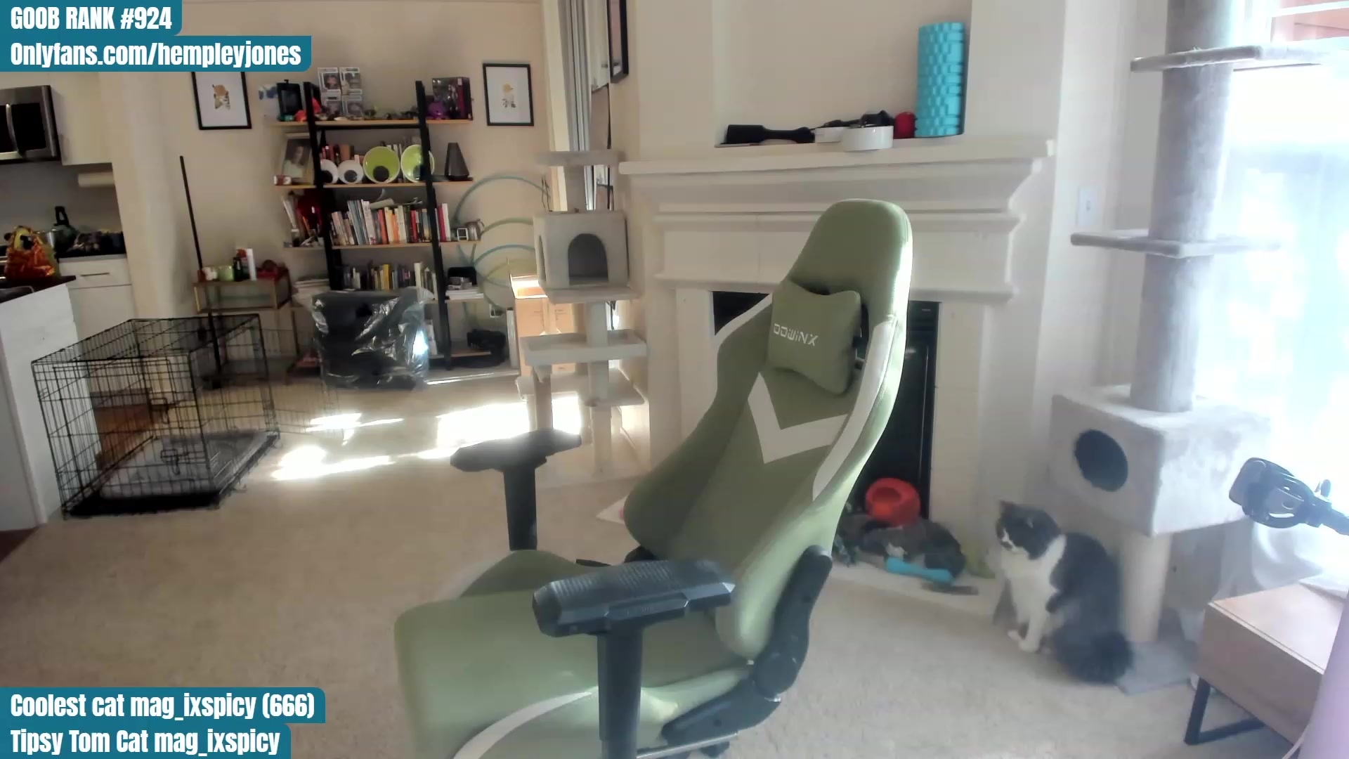 Gallery image thumbnail from Hemppopotamus's myfreecams stream on, 06/13/2023, 01:05 image 10 of 20