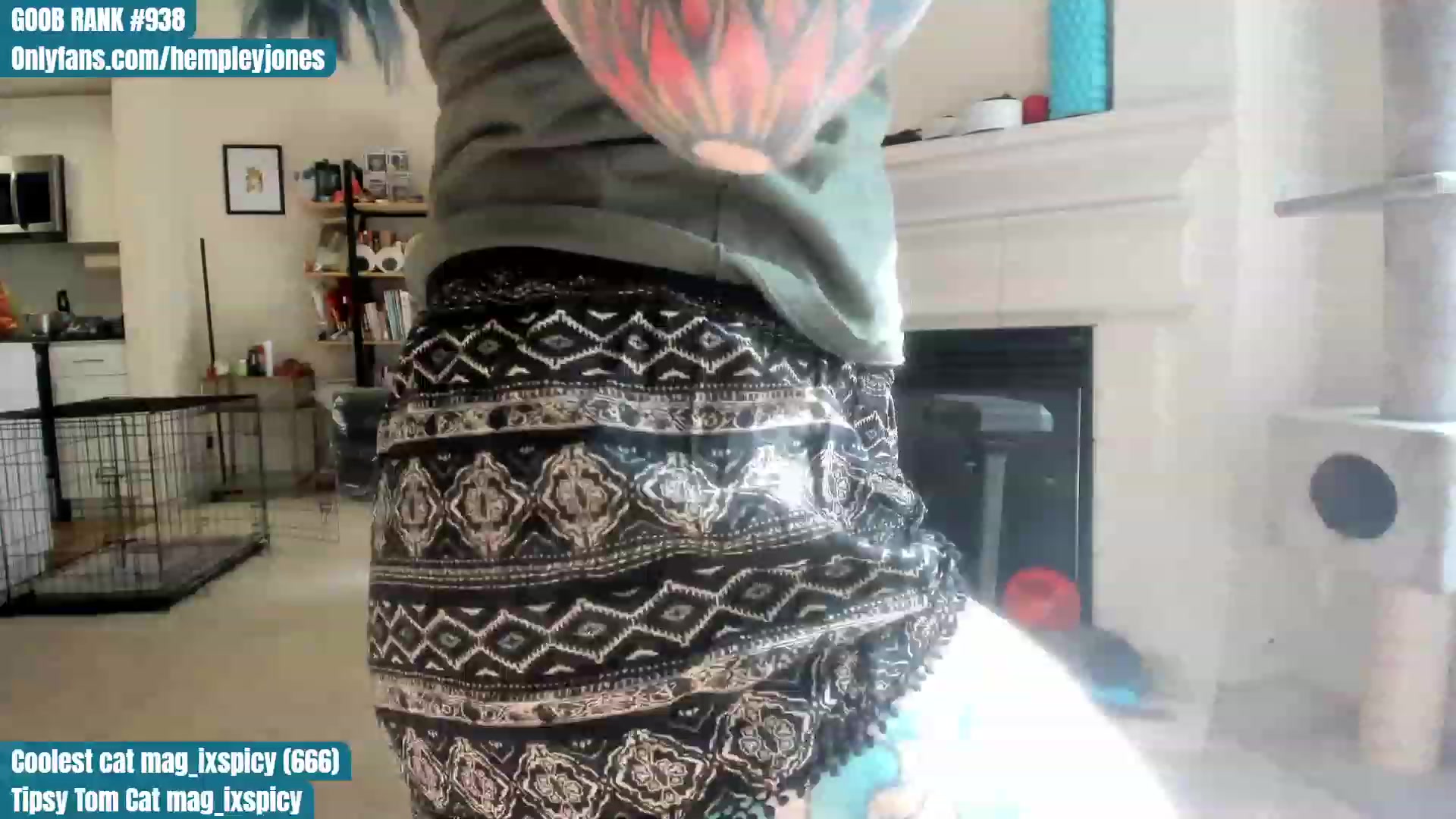 Gallery image thumbnail from Hemppopotamus's myfreecams stream on, 06/13/2023, 01:05 image 2 of 20