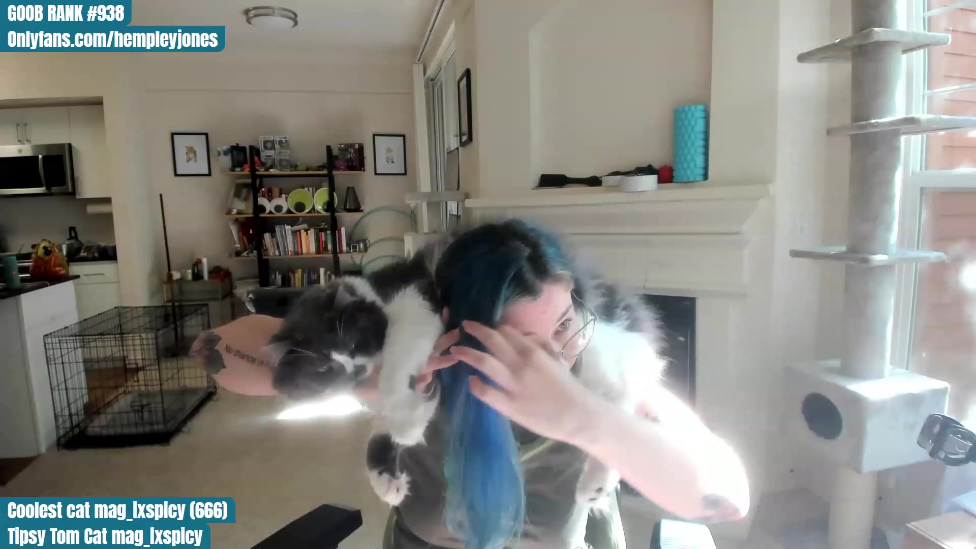 Gallery image thumbnail from Hemppopotamus's myfreecams stream on, 06/13/2023, 01:05 image 4 of 20