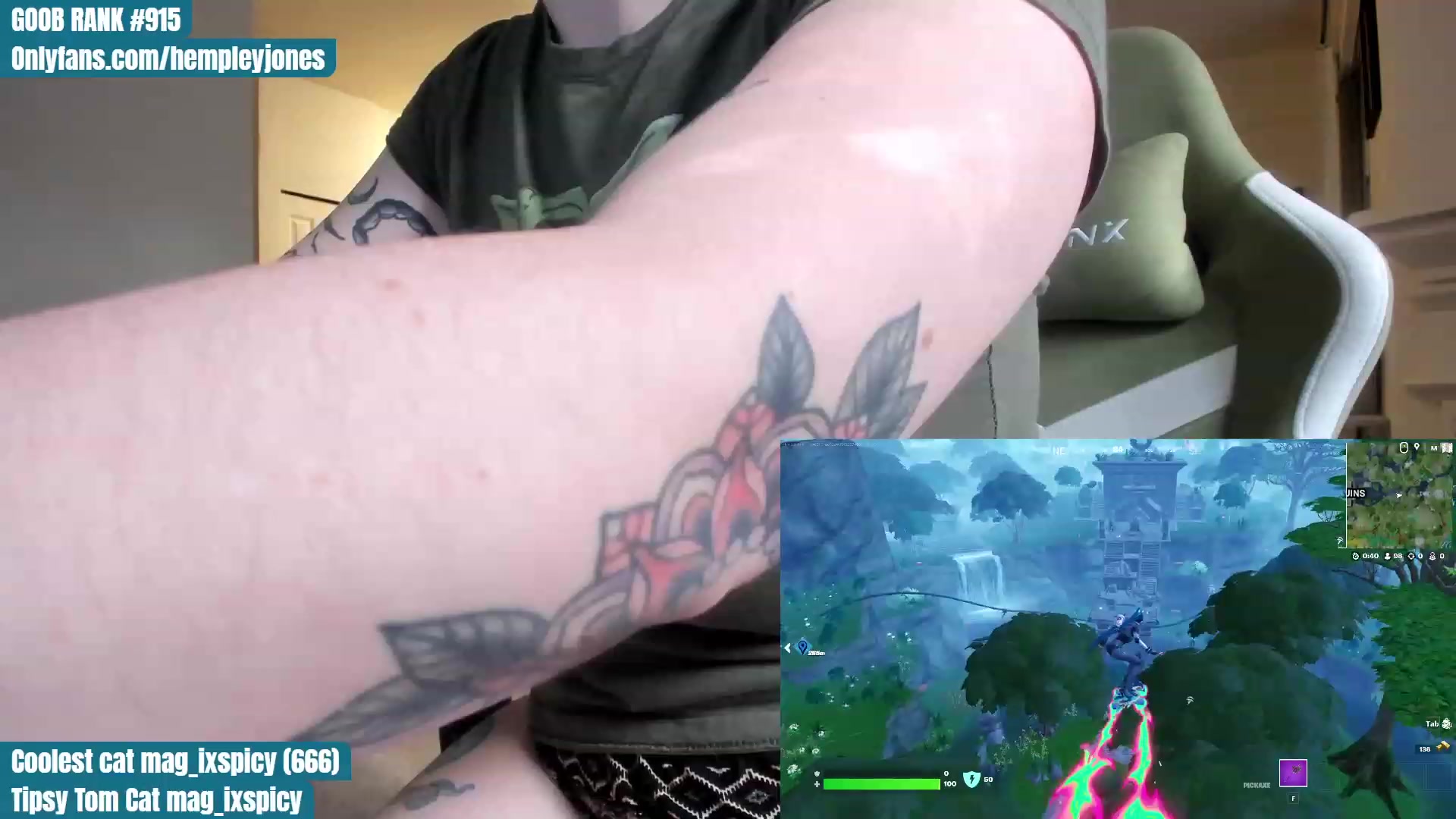 Gallery image thumbnail from Hemppopotamus's myfreecams stream on, 06/13/2023, 02:19 image 9 of 20