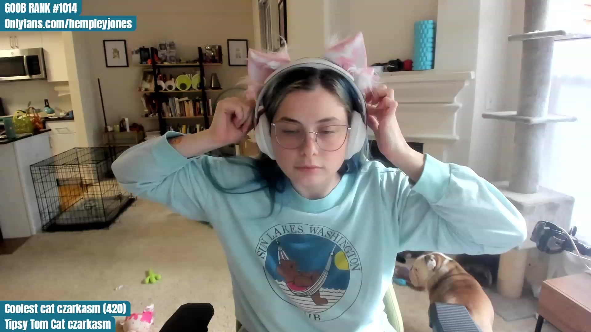Gallery image thumbnail from Hemppopotamus's myfreecams stream on, 06/15/2023, 02:04 image 14 of 20