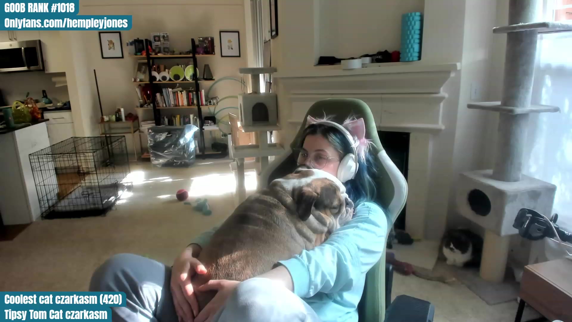 Gallery image thumbnail from Hemppopotamus's myfreecams stream on, 06/15/2023, 02:04 image 12 of 20