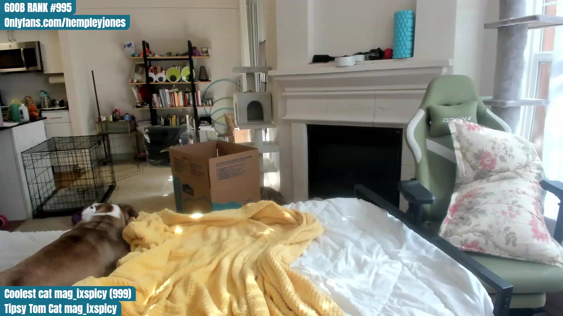 Gallery image thumbnail from Hemppopotamus's myfreecams stream on, 06/16/2023, 24:58 image 6 of 20