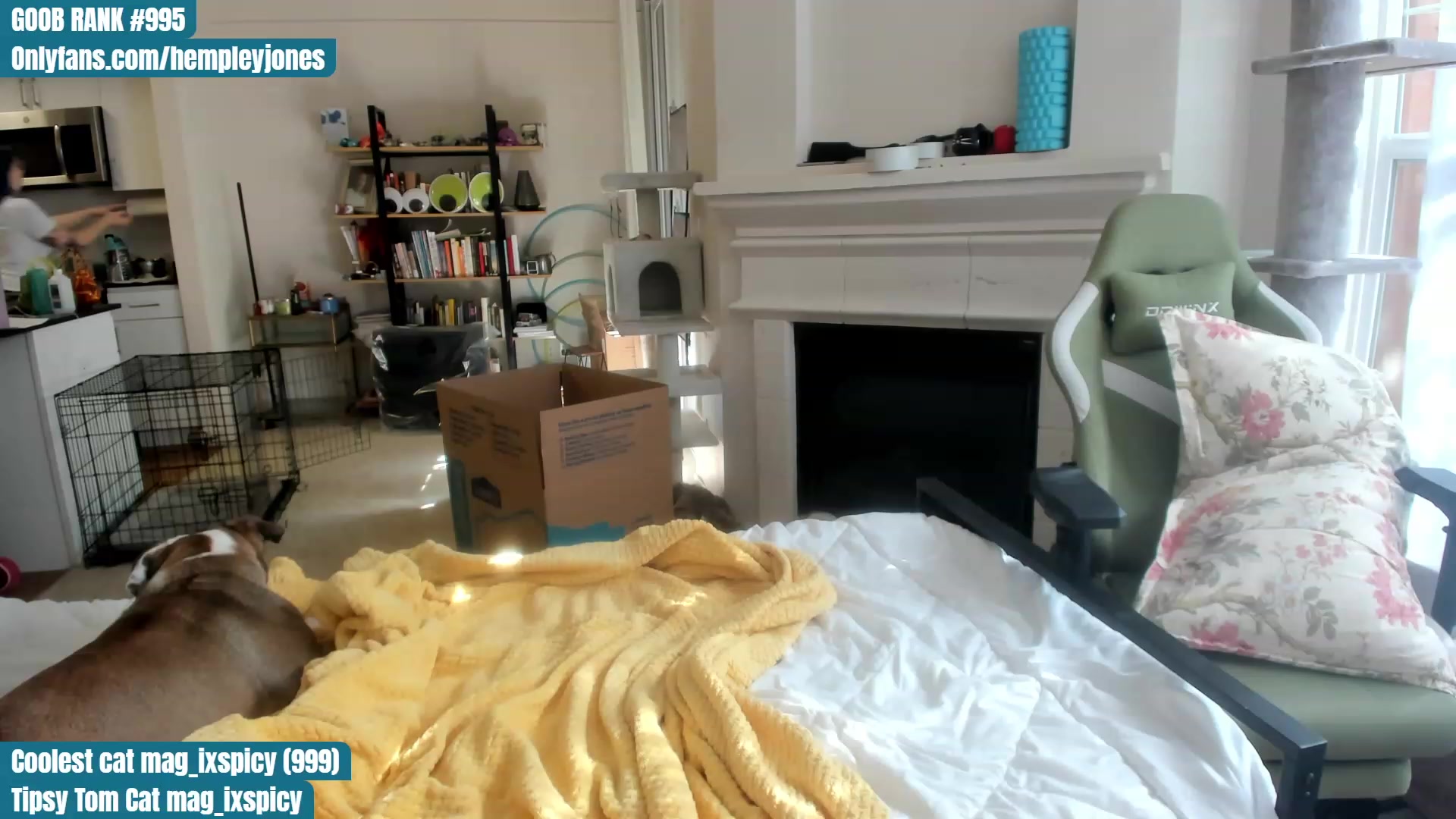 Gallery image thumbnail from Hemppopotamus's myfreecams stream on, 06/16/2023, 01:37 image 7 of 20