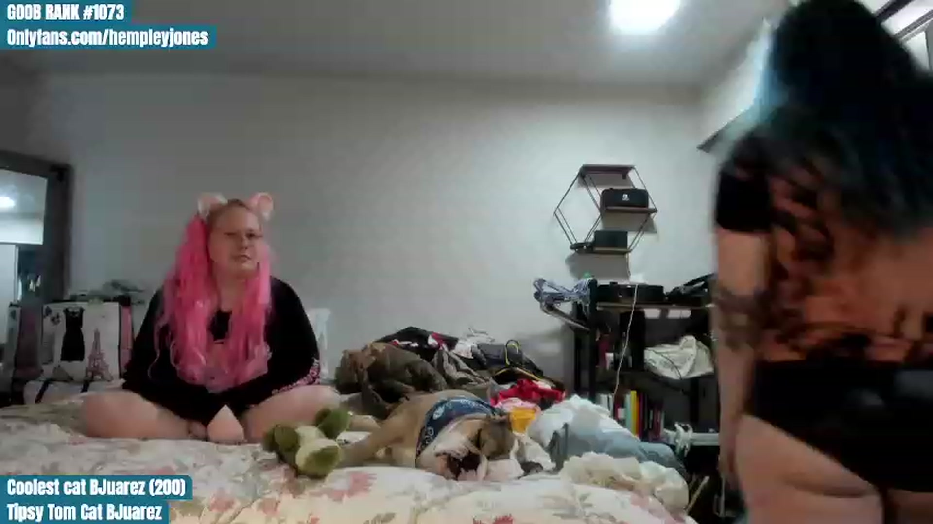 Gallery image thumbnail from Hemppopotamus's myfreecams stream on, 06/23/2023, 24:01 image 18 of 20