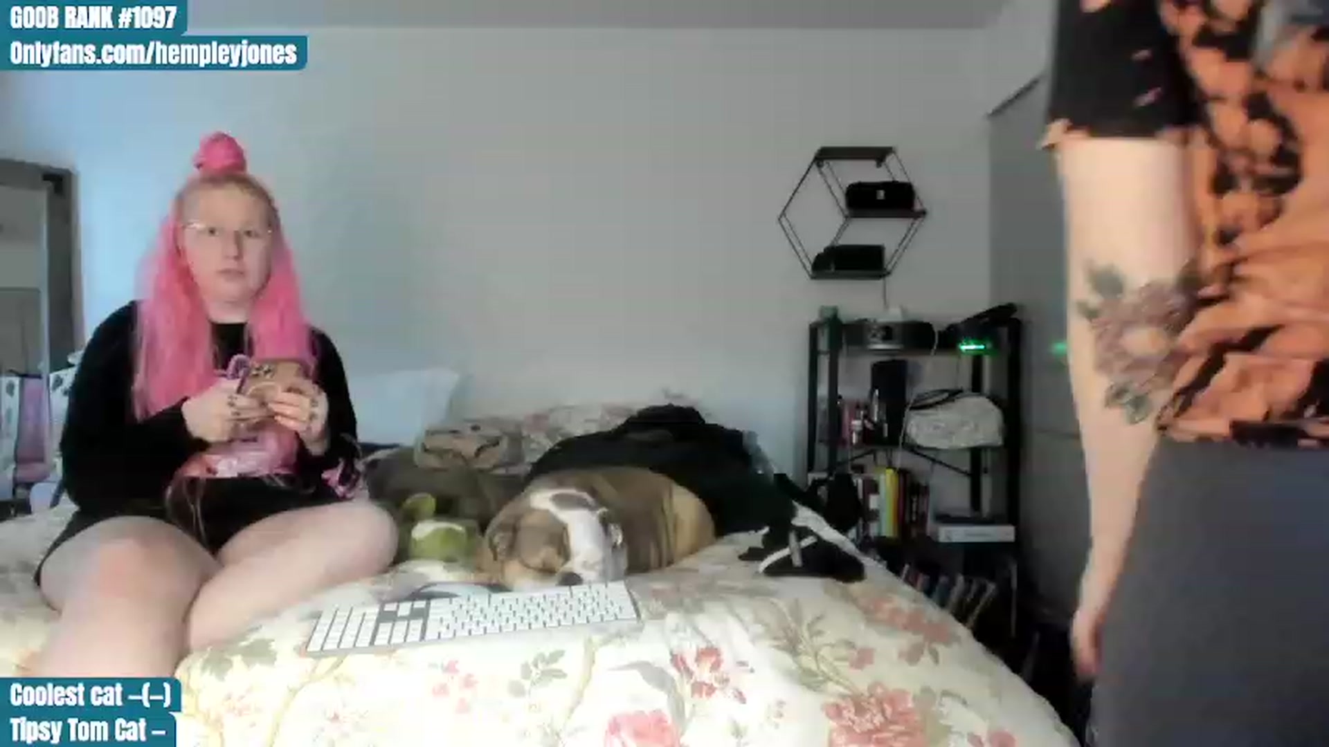 Gallery image thumbnail from Hemppopotamus's myfreecams stream on, 06/23/2023, 24:01 image 3 of 20
