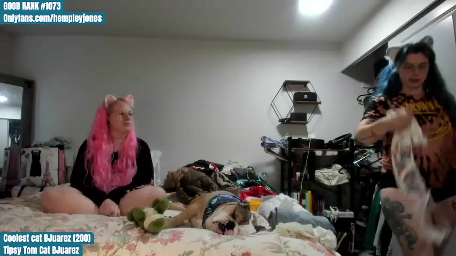 Gallery image thumbnail from Hemppopotamus's myfreecams stream on, 06/23/2023, 24:01 image 19 of 20