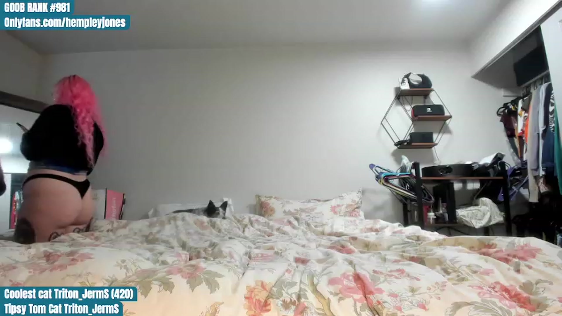 Gallery image thumbnail from Hemppopotamus's myfreecams stream on, 06/25/2023, 03:49 image 10 of 20