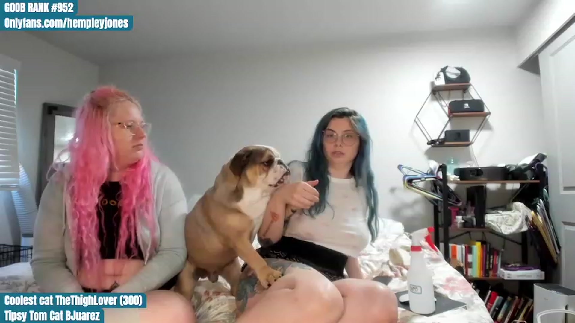 Gallery image thumbnail from Hemppopotamus's myfreecams stream on, 06/26/2023, 01:34 image 19 of 20
