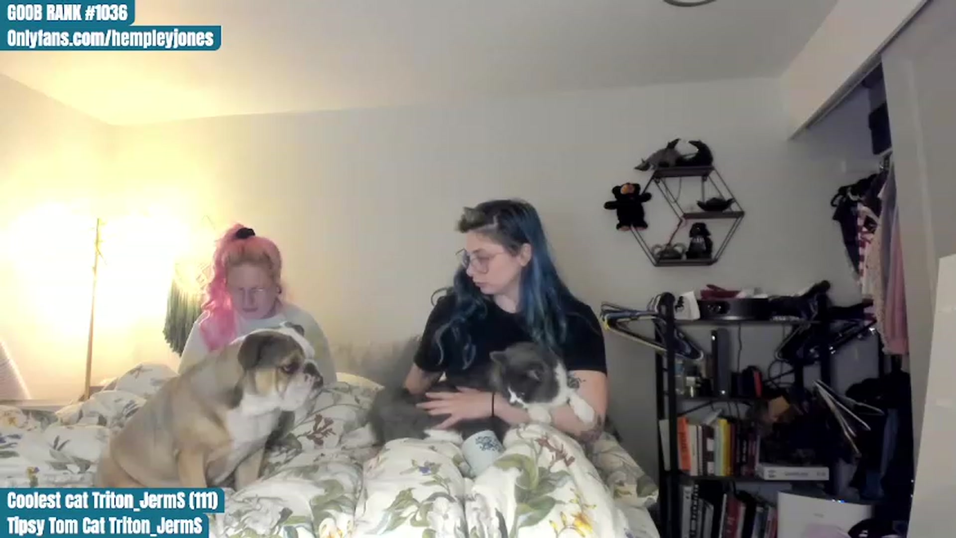 Gallery image thumbnail from Hemppopotamus's myfreecams stream on, 07/01/2023, 24:00 image 8 of 20