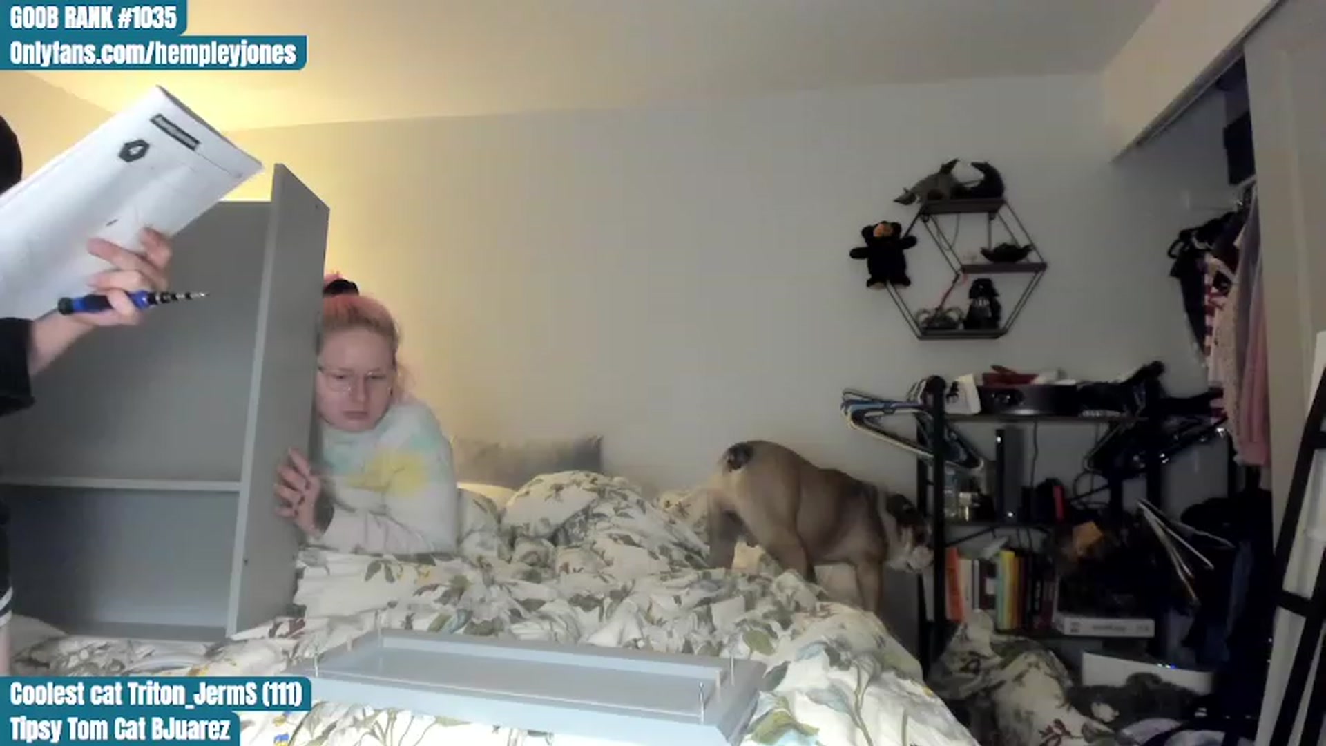 Gallery image thumbnail from Hemppopotamus's myfreecams stream on, 07/01/2023, 03:00 image 11 of 20