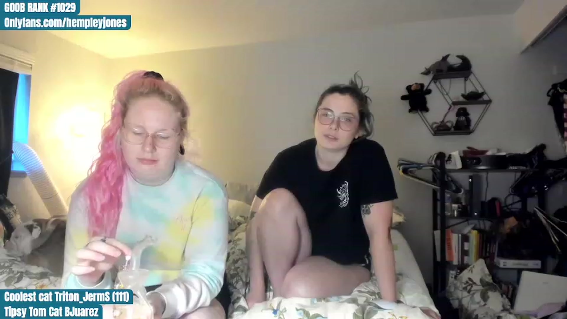 Gallery image thumbnail from Hemppopotamus's myfreecams stream on, 07/01/2023, 03:00 image 19 of 20