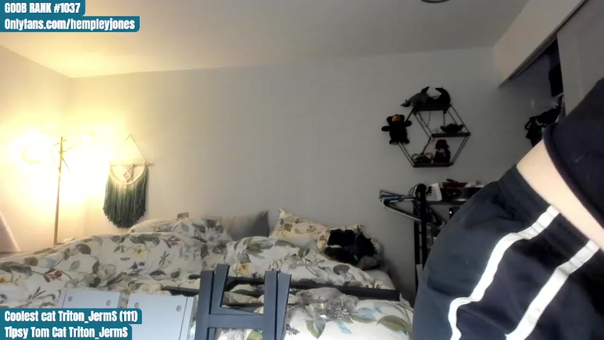 Gallery image thumbnail from Hemppopotamus's myfreecams stream on, 07/01/2023, 03:00 image 6 of 20