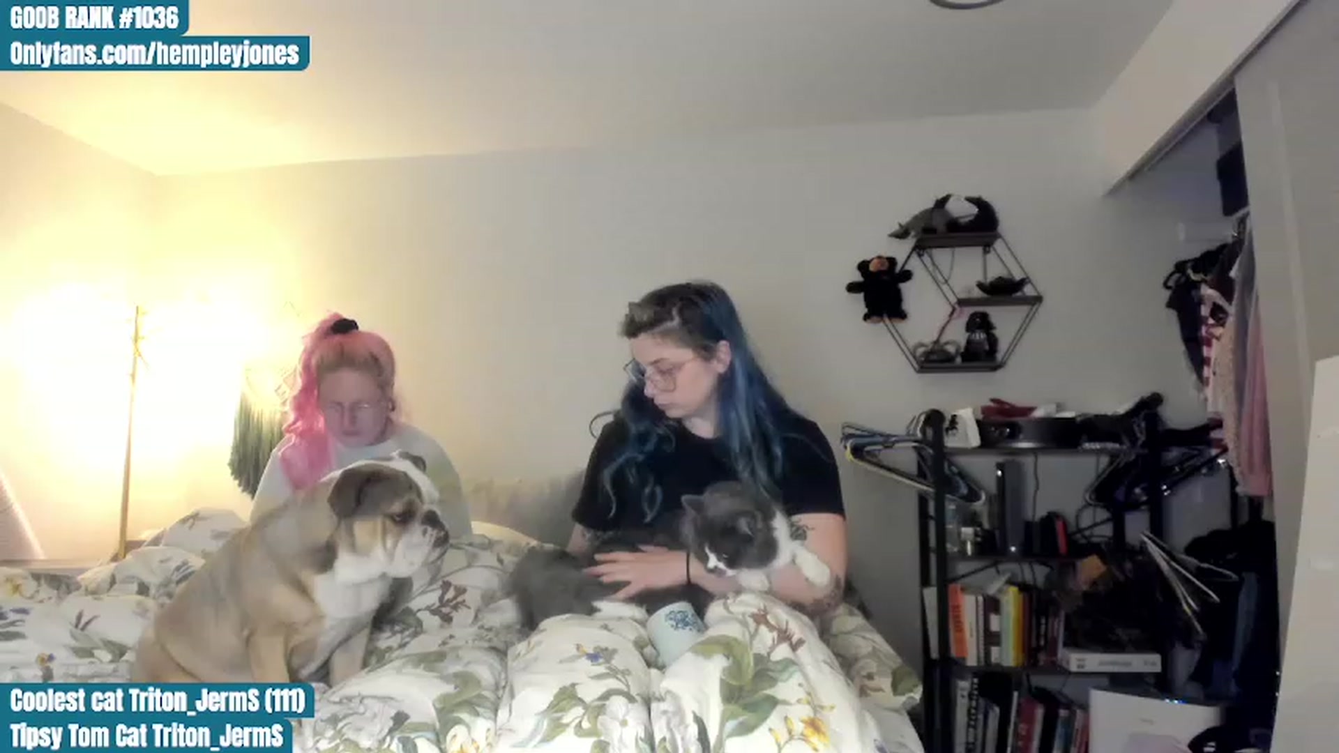 Gallery image thumbnail from Hemppopotamus's myfreecams stream on, 07/01/2023, 03:00 image 3 of 20