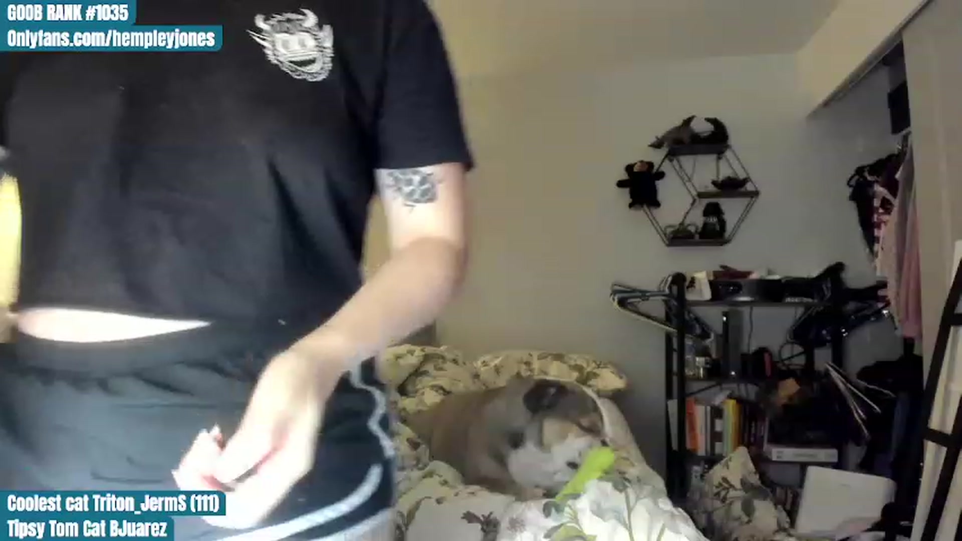 Gallery image thumbnail from Hemppopotamus's myfreecams stream on, 07/01/2023, 03:00 image 12 of 20