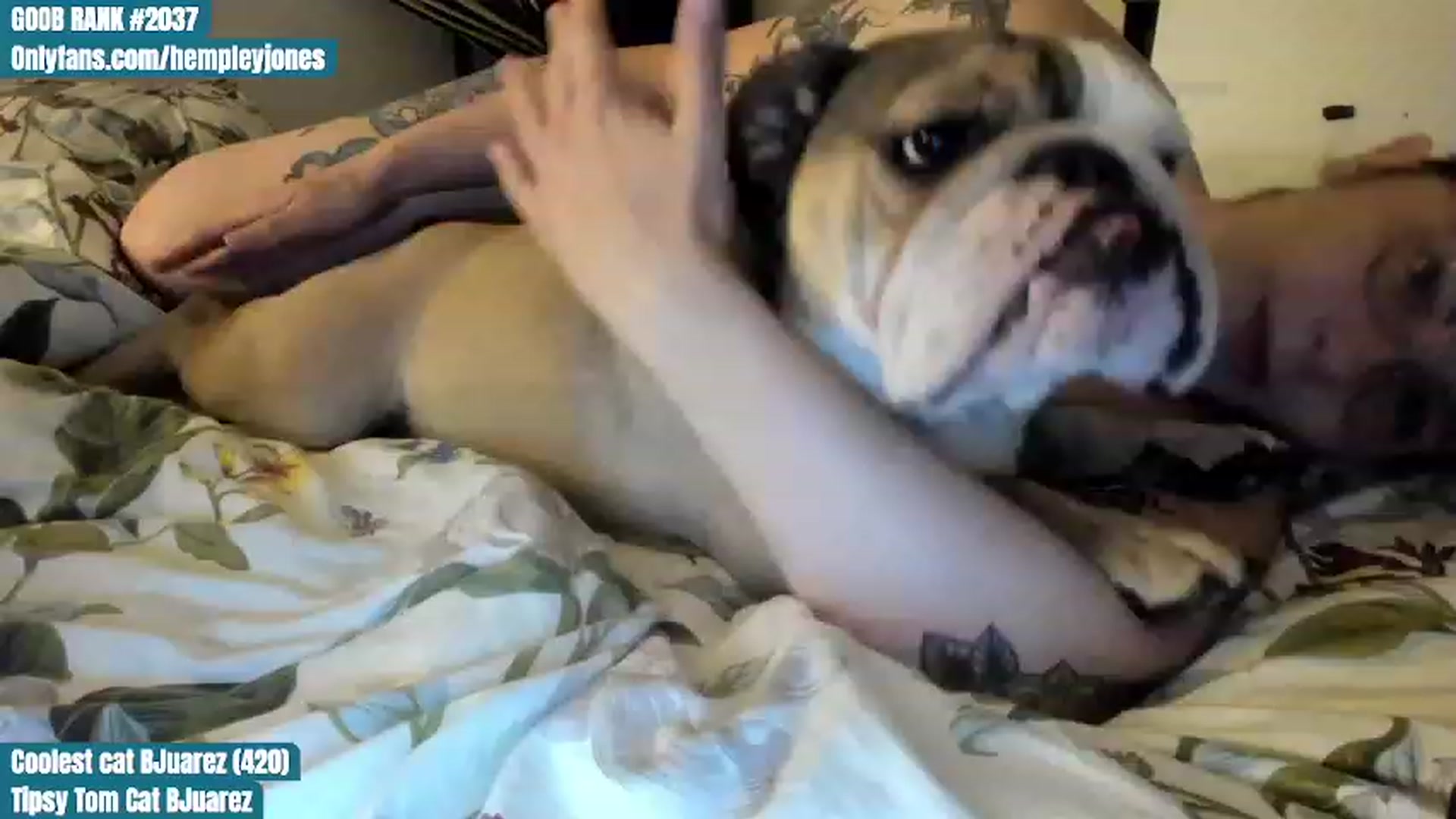 Gallery image thumbnail from Hemppopotamus's myfreecams stream on, 07/03/2023, 01:39 image 5 of 20