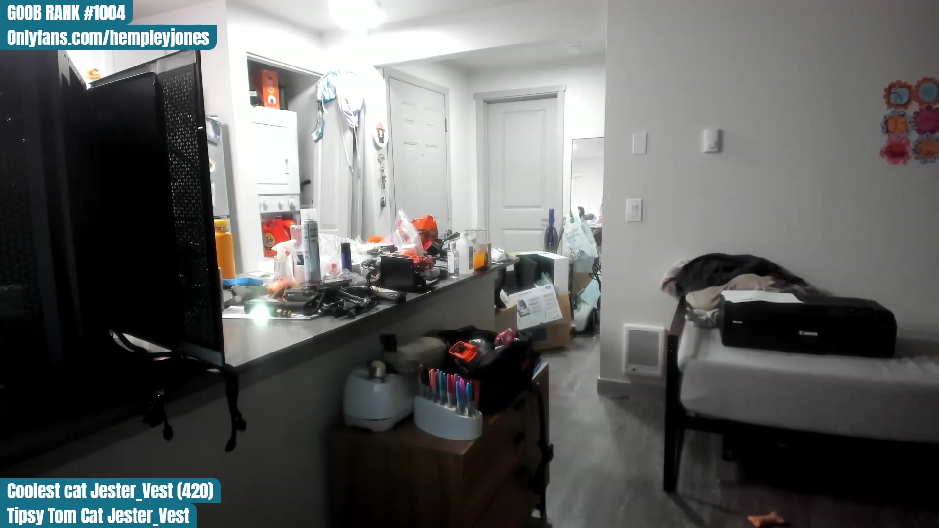 Gallery image thumbnail from Hemppopotamus's myfreecams stream on, 07/11/2023, 01:31 image 19 of 20
