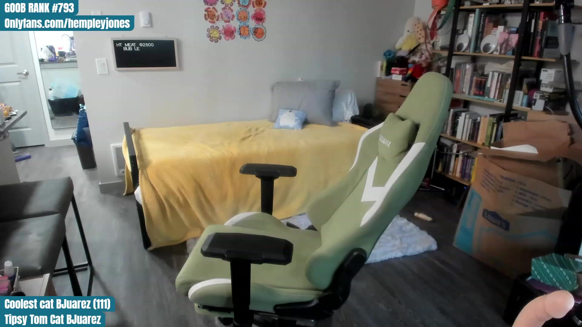 Gallery image thumbnail from Hemppopotamus's myfreecams stream on, 07/14/2023, 01:50 image 19 of 20