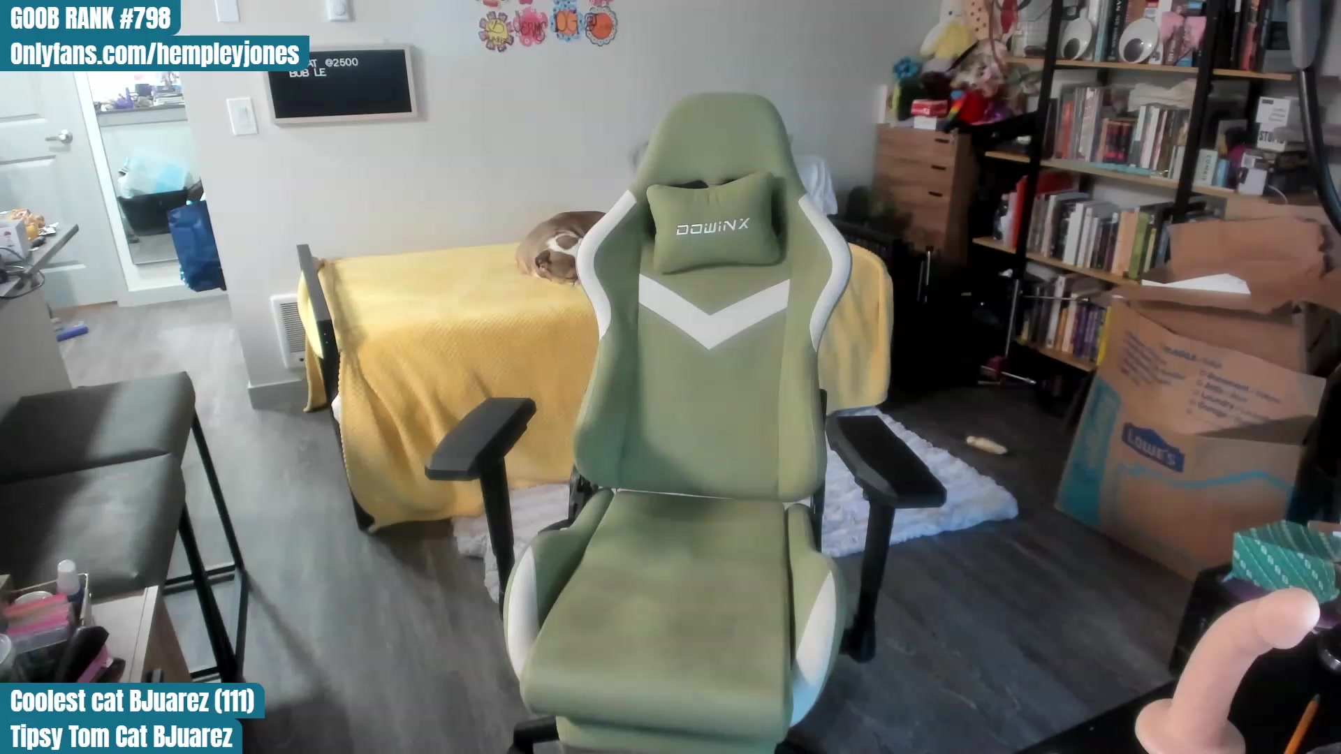 Gallery image thumbnail from Hemppopotamus's myfreecams stream on, 07/14/2023, 01:50 image 2 of 20