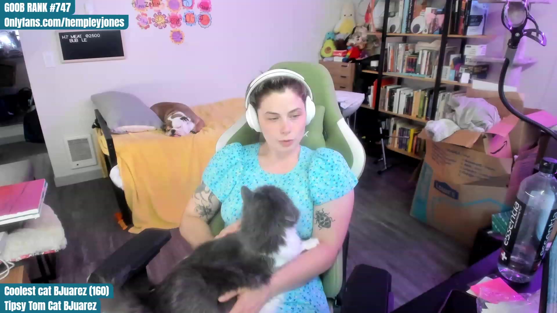 Gallery image thumbnail from Hemppopotamus's myfreecams stream on, 07/16/2023, 24:52 image 11 of 20