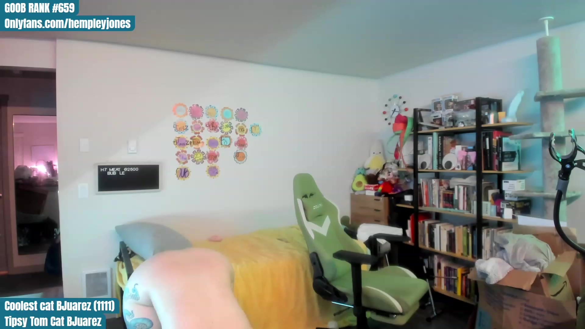 Gallery image thumbnail from Hemppopotamus's myfreecams stream on, 07/16/2023, 02:36 image 19 of 20