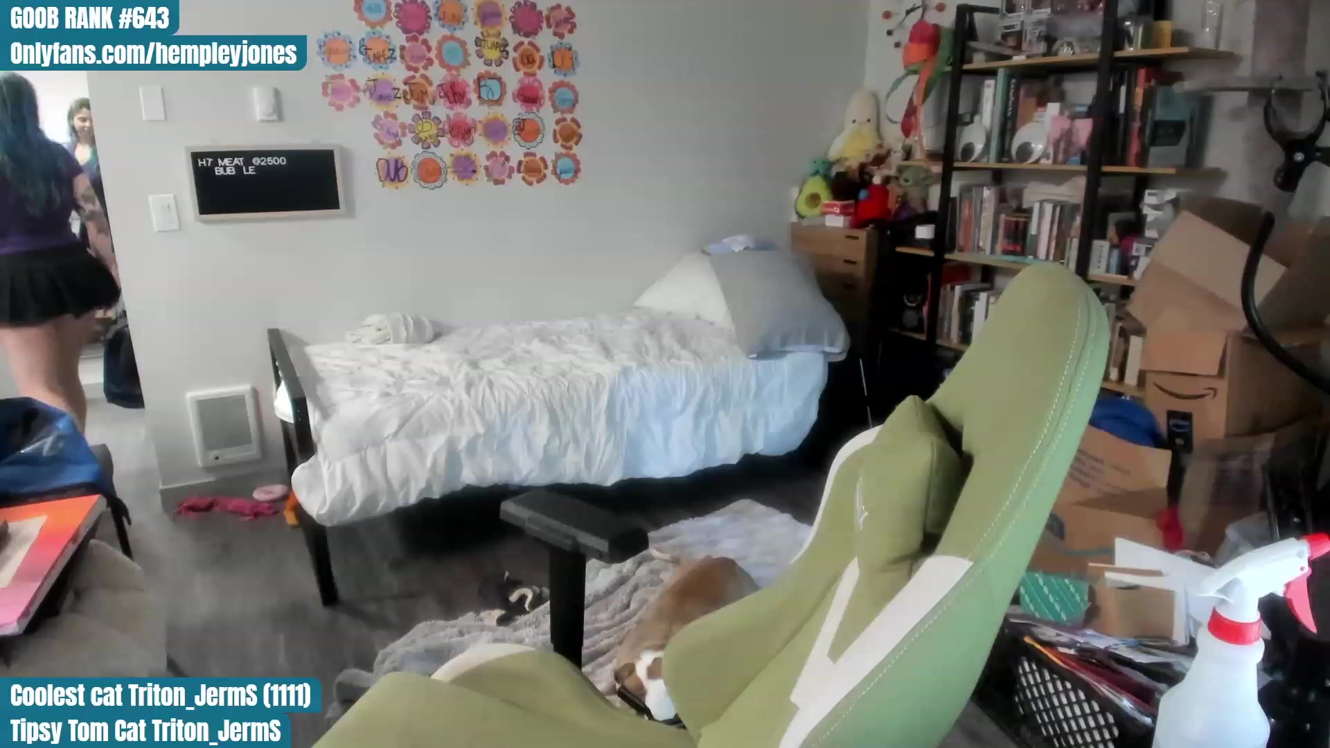 Gallery image thumbnail from Hemppopotamus's myfreecams stream on, 07/16/2023, 22:27 image 4 of 20
