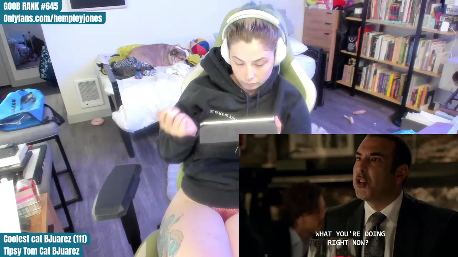 Gallery image thumbnail from Hemppopotamus's myfreecams stream on, 07/19/2023, 24:04 image 13 of 20