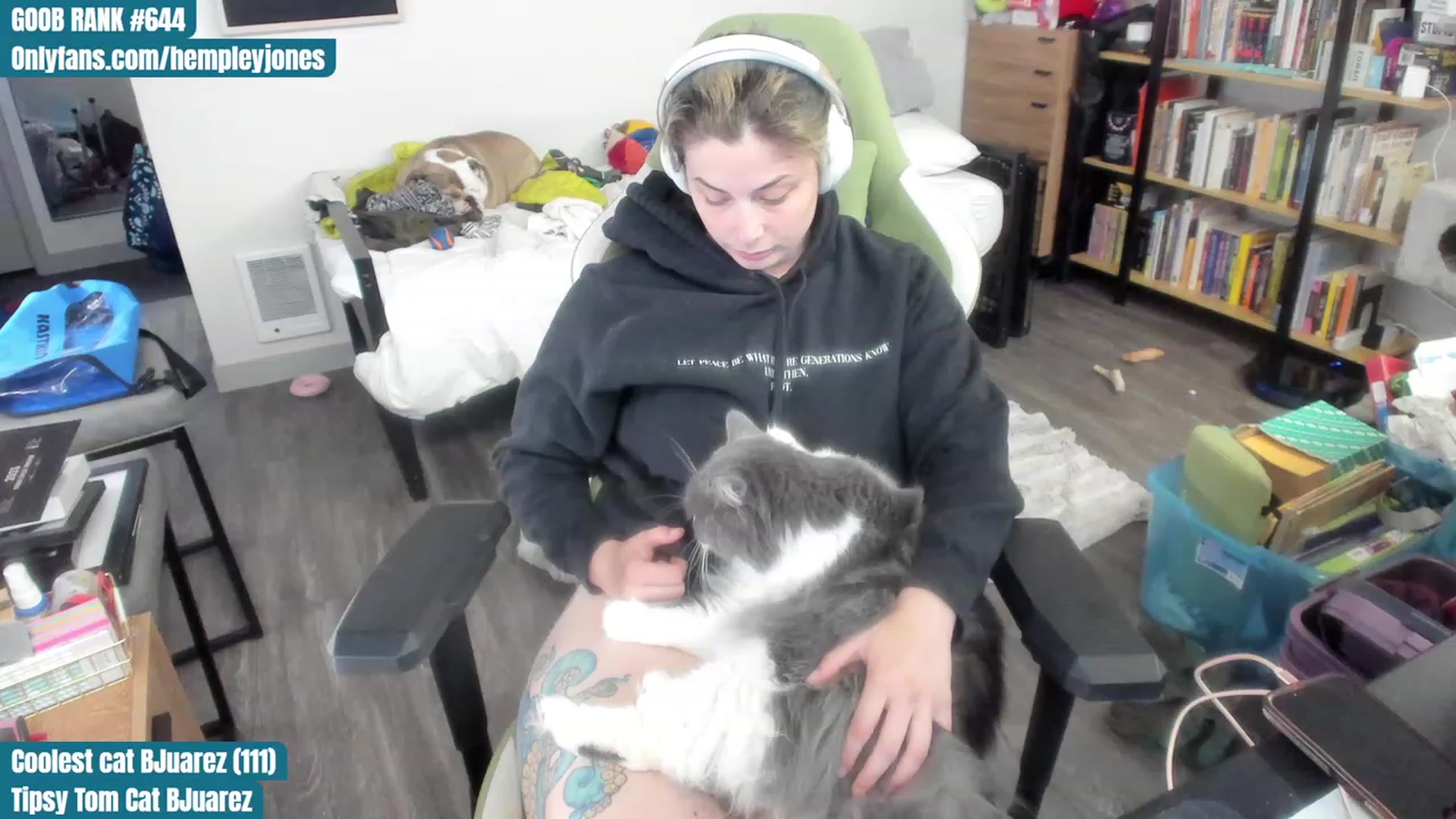 Gallery image thumbnail from Hemppopotamus's myfreecams stream on, 07/19/2023, 24:04 image 2 of 20
