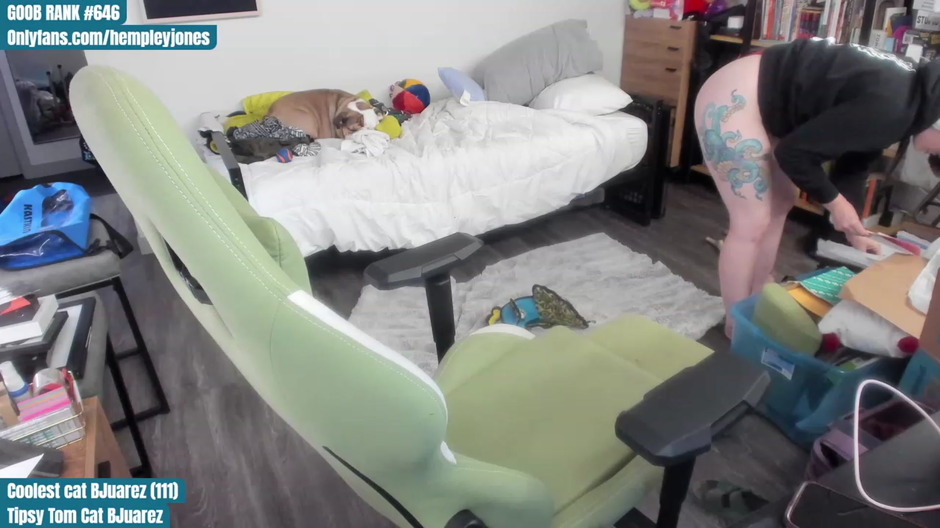 Gallery image thumbnail from Hemppopotamus's myfreecams stream on, 07/19/2023, 24:04 image 8 of 20