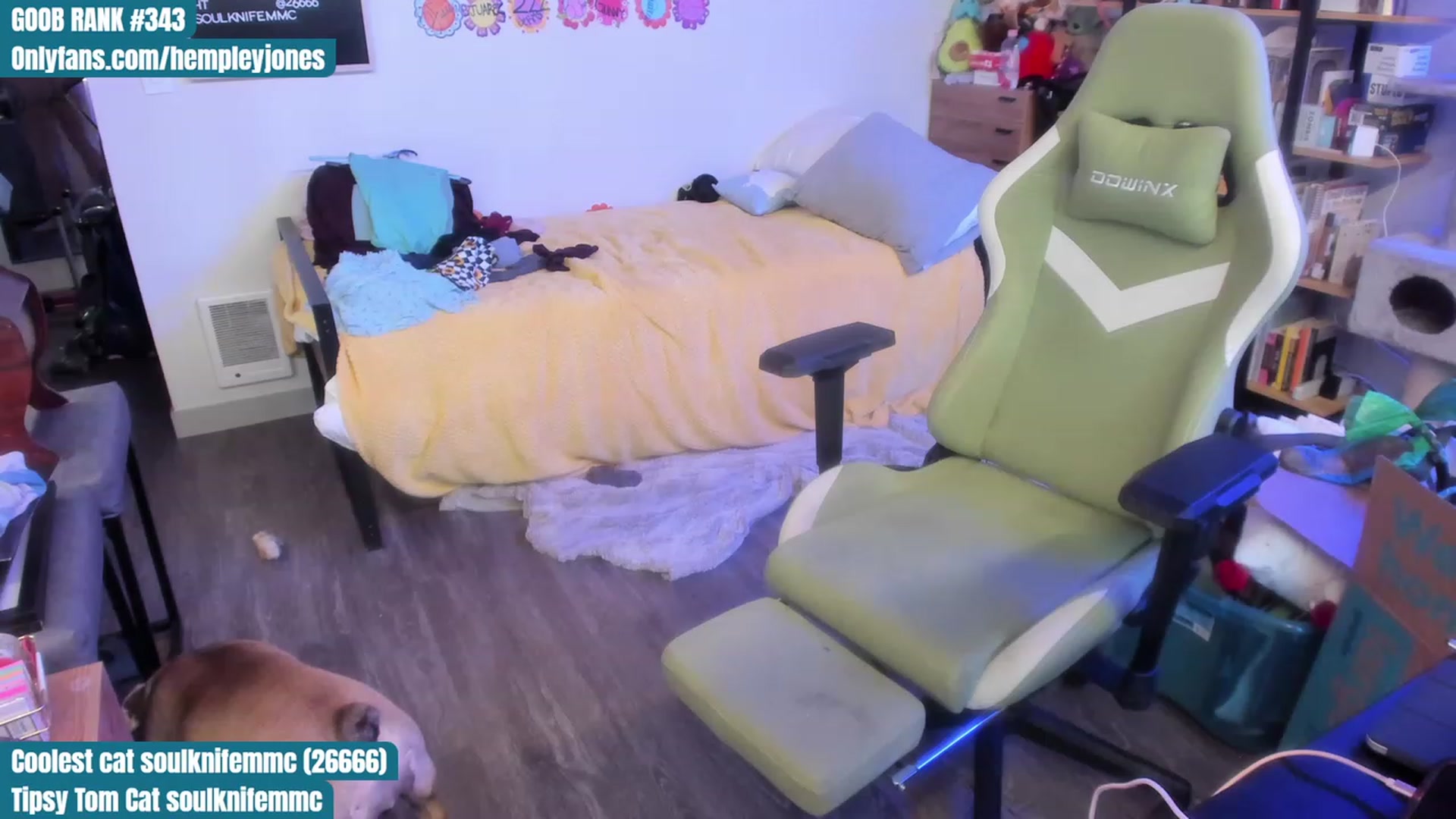 Gallery image thumbnail from Hemppopotamus's myfreecams stream on, 07/20/2023, 02:11 image 19 of 20