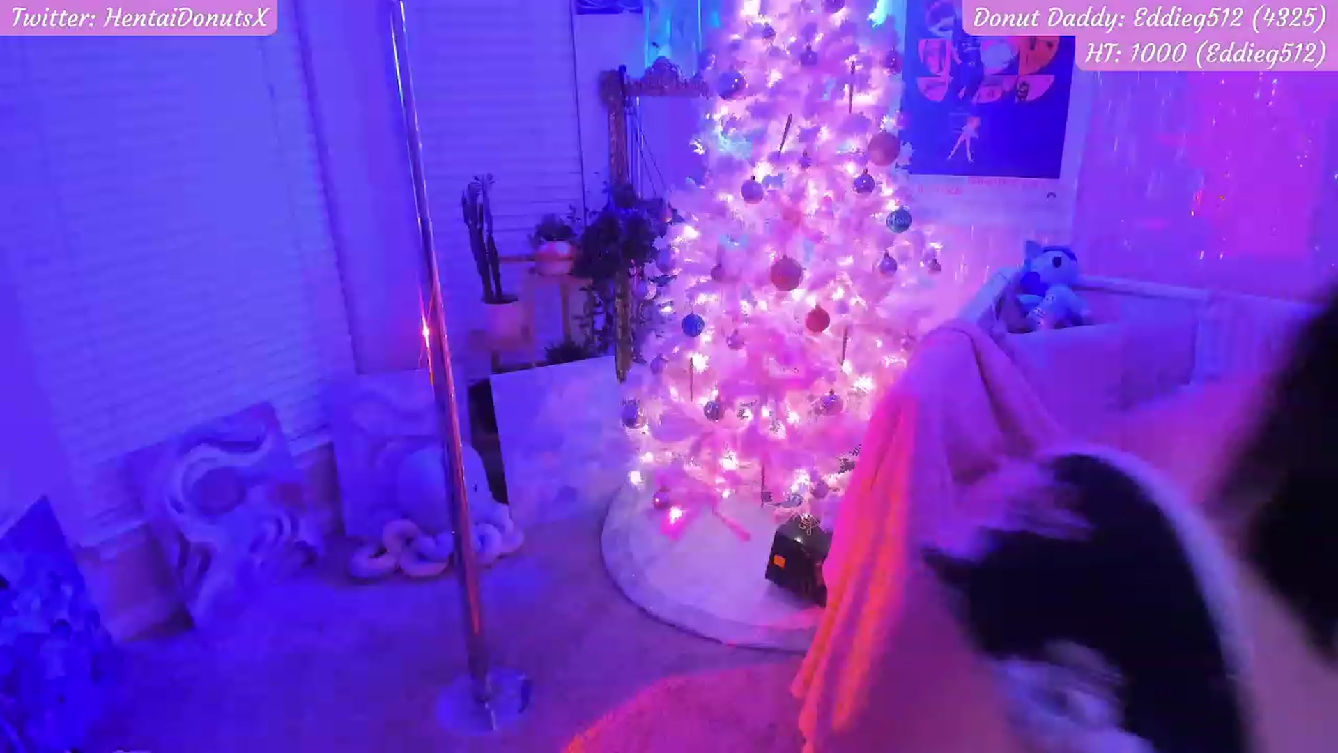 Gallery image thumbnail from HentaiDonuts's myfreecams stream on, 12/11/2022, 07:57 image 7 of 20