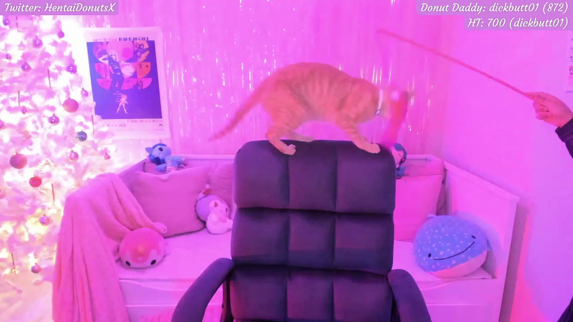 Gallery image thumbnail from HentaiDonuts's myfreecams stream on, 12/12/2022, 05:48 image 12 of 20