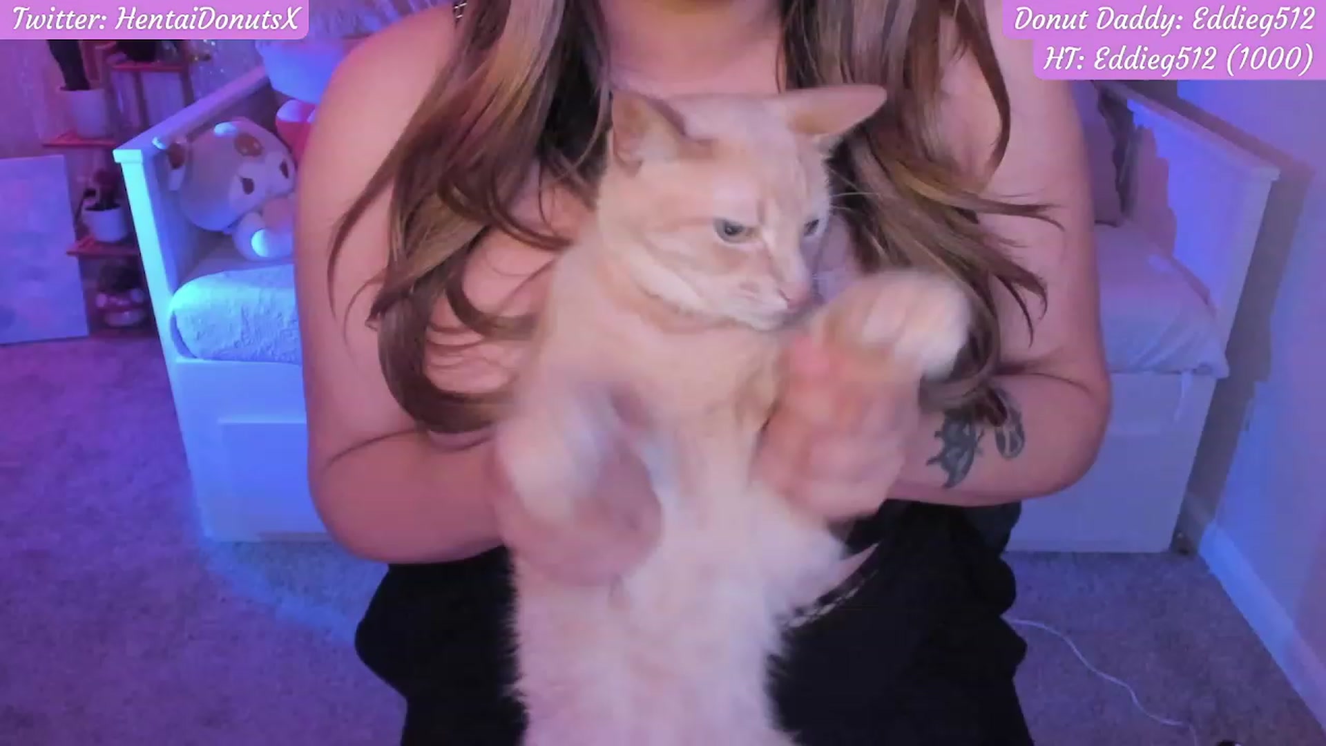 Gallery image thumbnail from HentaiDonuts's myfreecams stream on, 08/14/2023, 06:53 image 17 of 20
