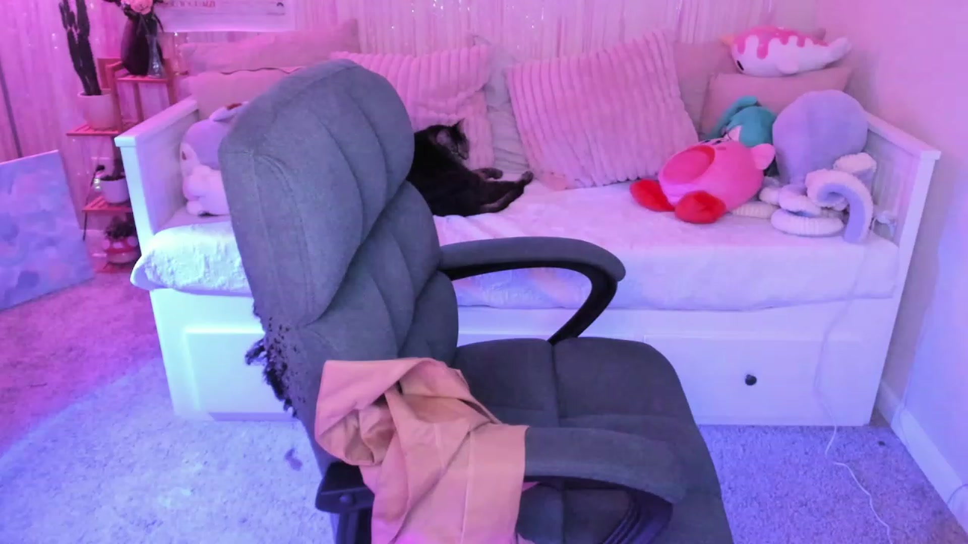 Gallery image thumbnail from HentaiDonuts's myfreecams stream on, 09/10/2023, 04:53 image 18 of 20